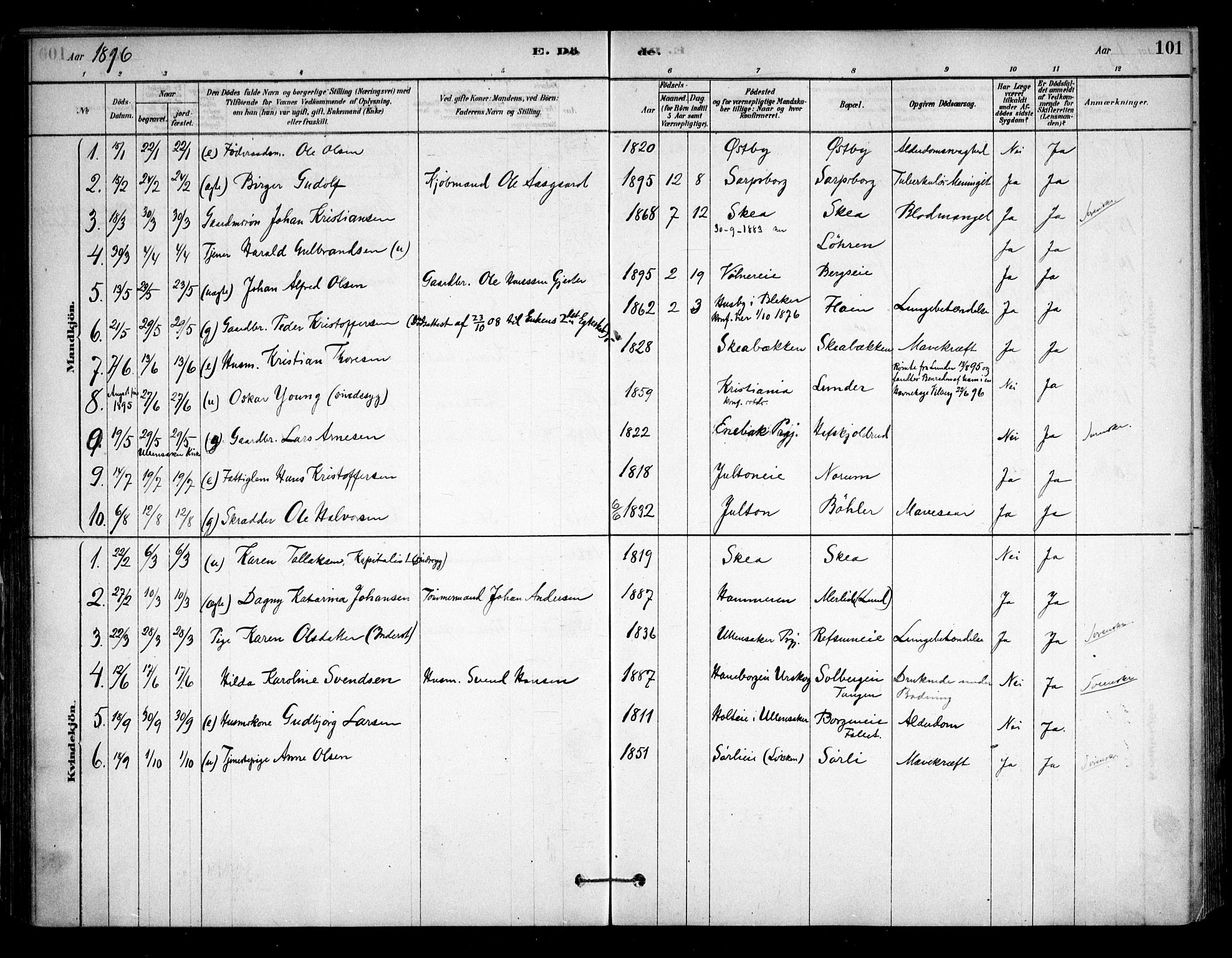 Sørum prestekontor Kirkebøker, AV/SAO-A-10303/F/Fa/L0008: Parish register (official) no. I 8, 1878-1914, p. 101