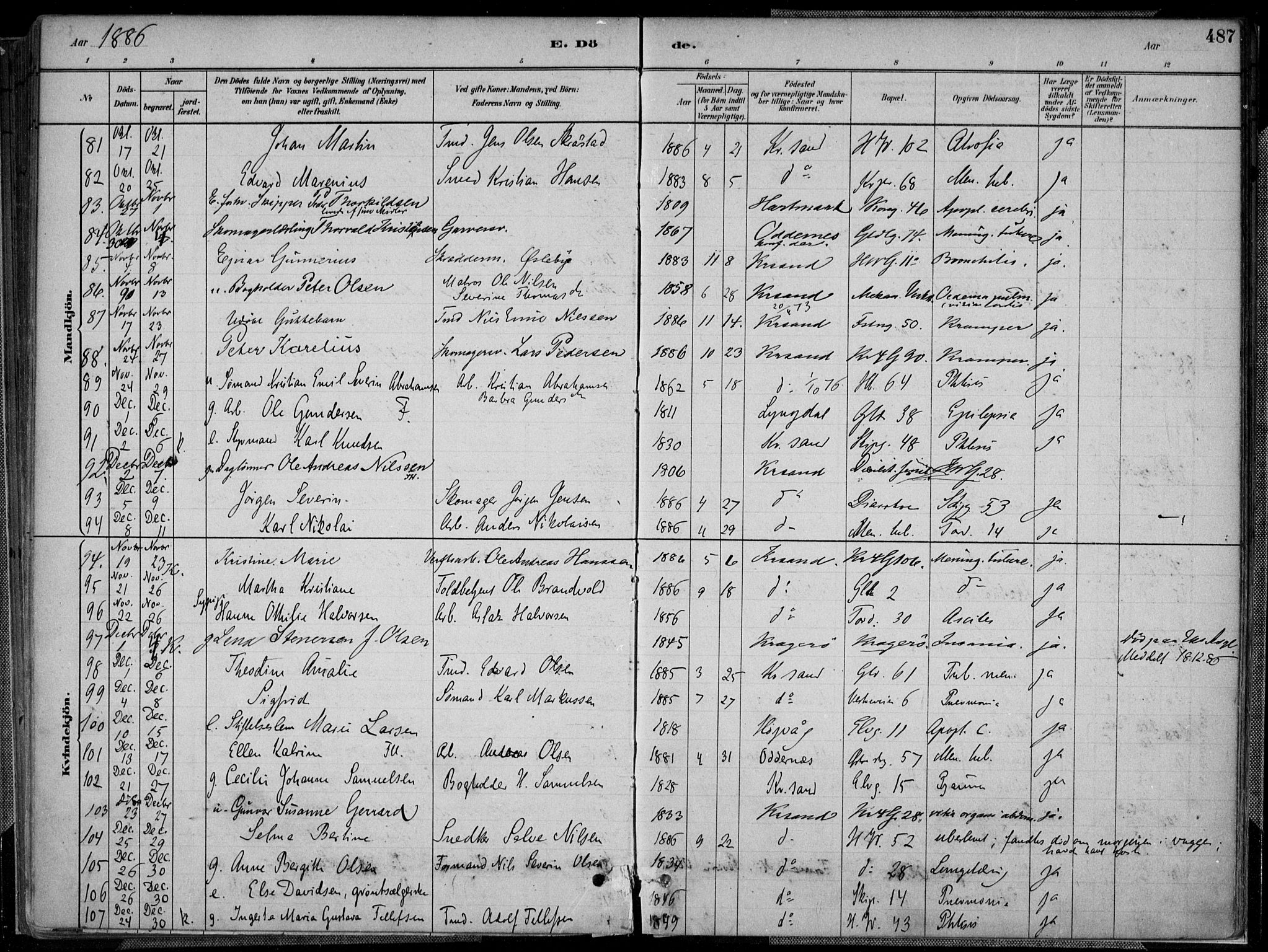 Kristiansand domprosti, SAK/1112-0006/F/Fa/L0017: Parish register (official) no. A 16B, 1880-1890, p. 487