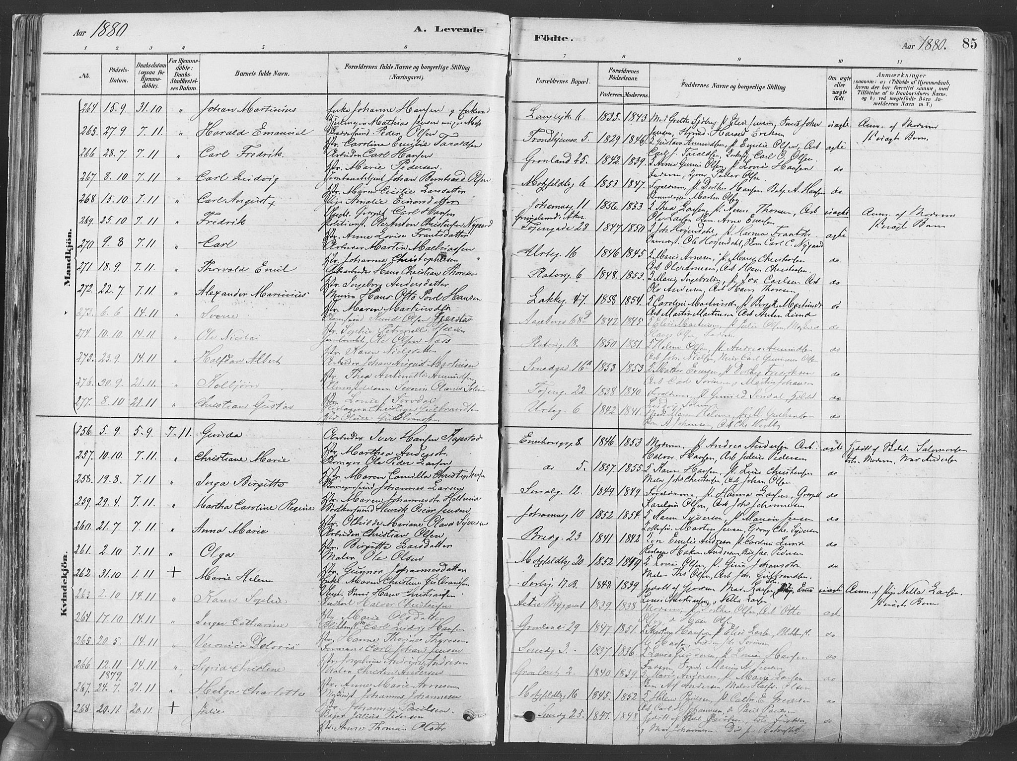 Grønland prestekontor Kirkebøker, AV/SAO-A-10848/F/Fa/L0007: Parish register (official) no. 7, 1878-1888, p. 85