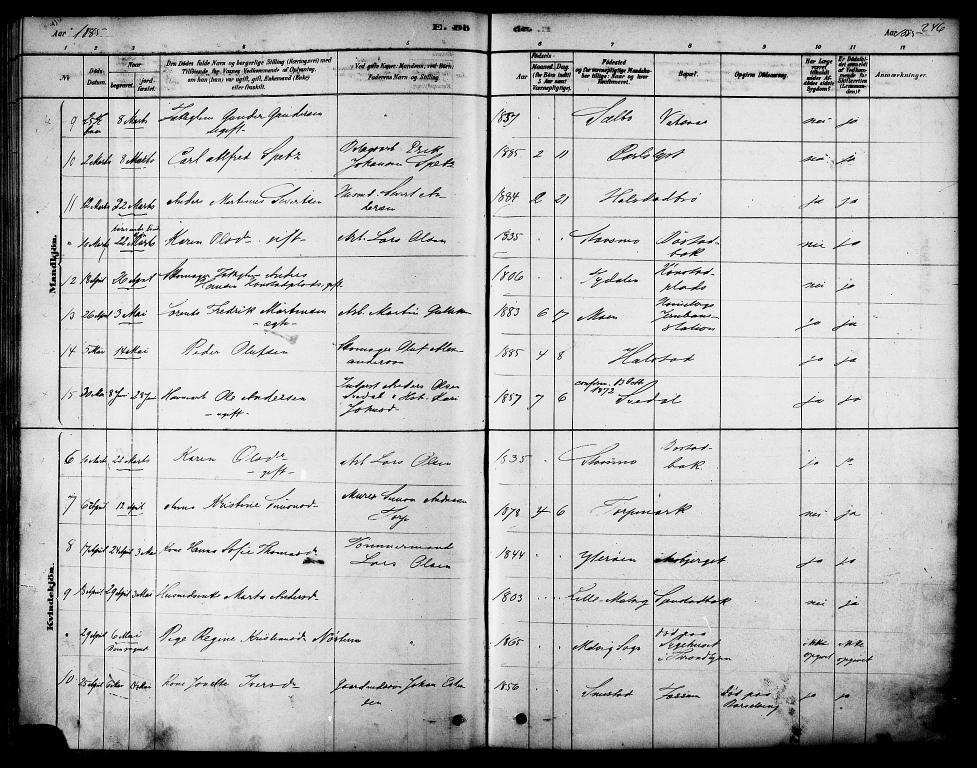 Ministerialprotokoller, klokkerbøker og fødselsregistre - Sør-Trøndelag, AV/SAT-A-1456/616/L0410: Parish register (official) no. 616A07, 1878-1893, p. 246