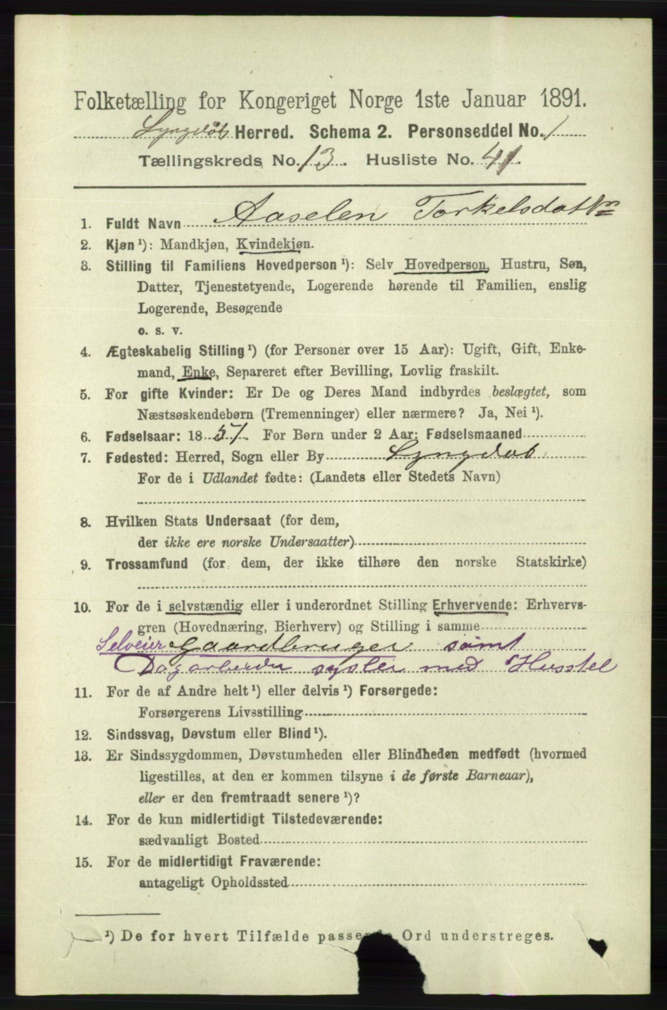 RA, 1891 census for 1032 Lyngdal, 1891, p. 5803