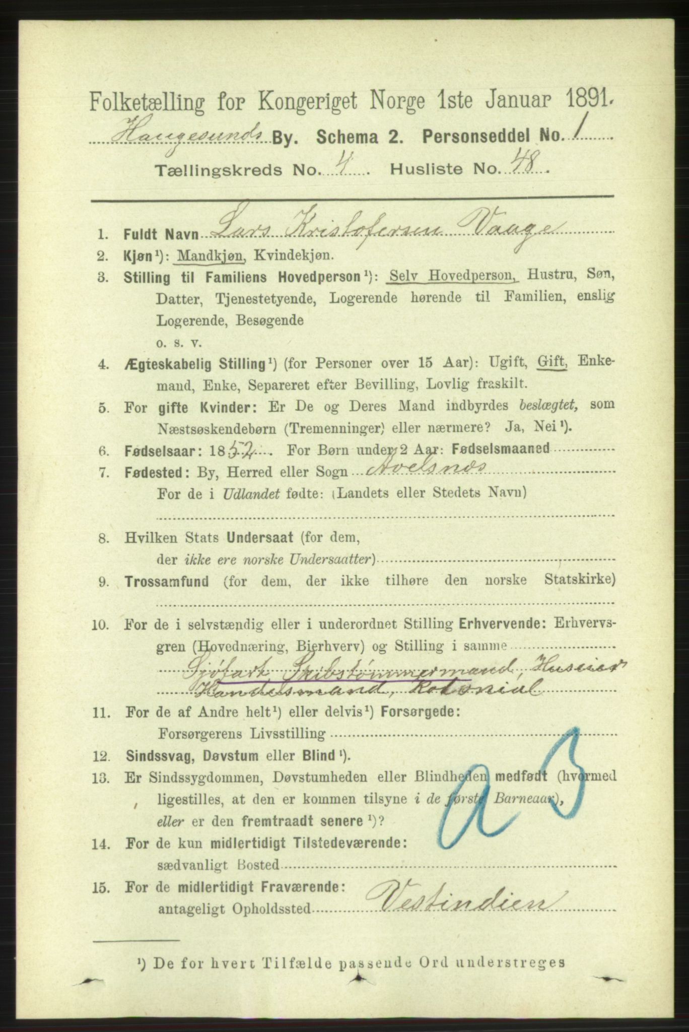 RA, 1891 census for 1106 Haugesund, 1891, p. 1843