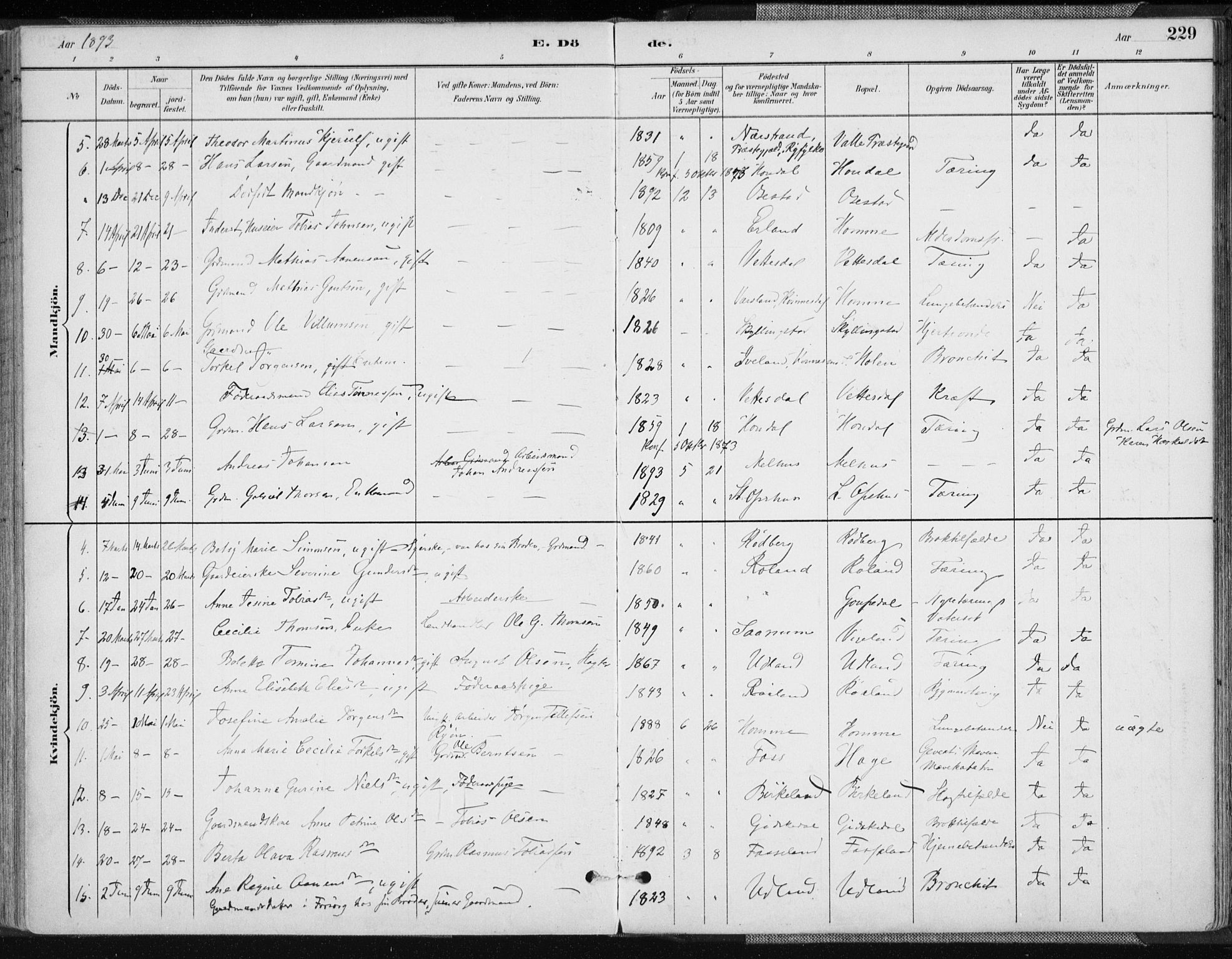 Sør-Audnedal sokneprestkontor, AV/SAK-1111-0039/F/Fa/Fab/L0010: Parish register (official) no. A 10, 1892-1913, p. 229