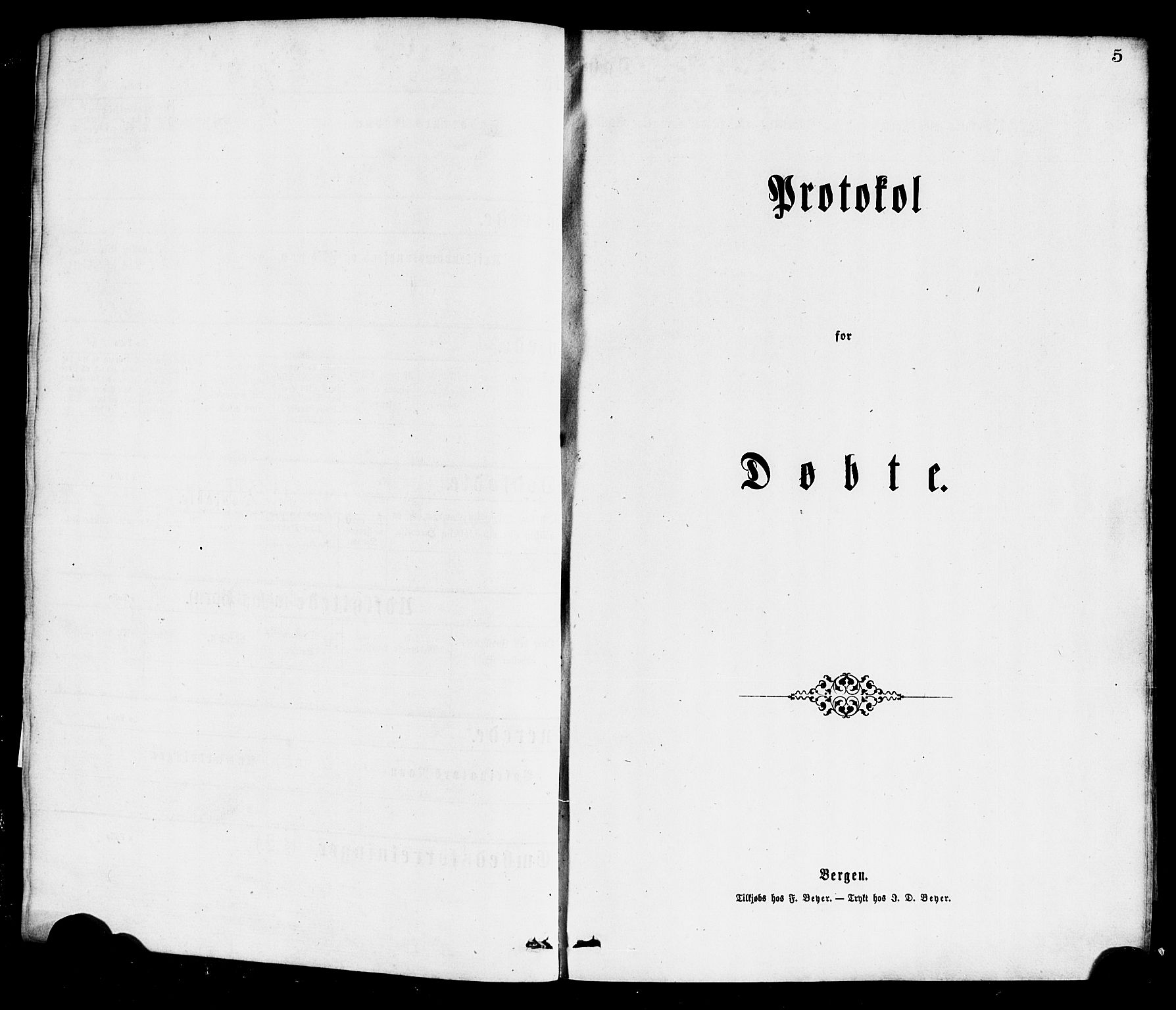 Hafslo sokneprestembete, AV/SAB-A-80301/H/Haa/Haaa/L0011: Parish register (official) no. A 11, 1873-1886, p. 5