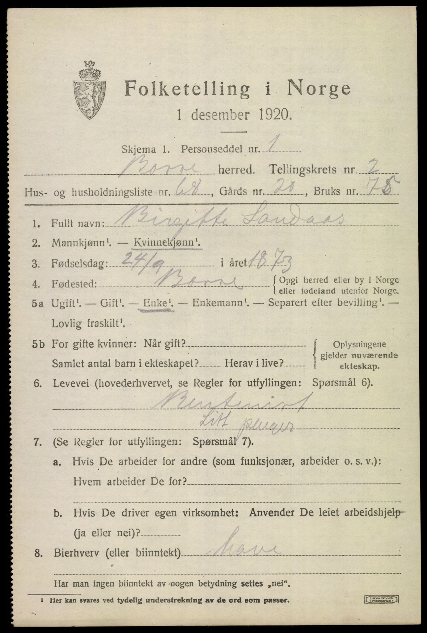 SAKO, 1920 census for Borre, 1920, p. 4960