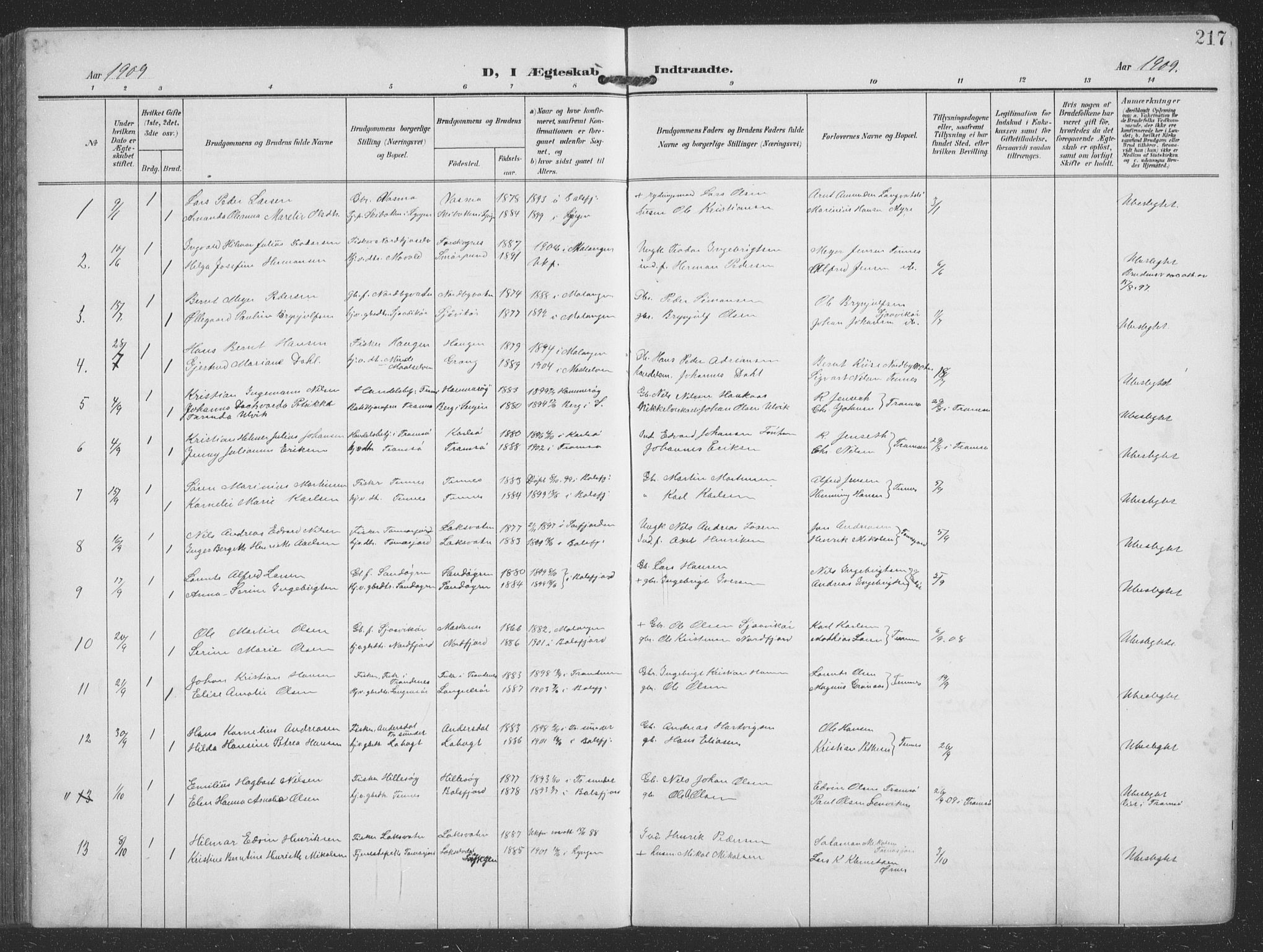 Balsfjord sokneprestembete, SATØ/S-1303/G/Ga/L0009klokker: Parish register (copy) no. 9, 1906-1920, p. 217