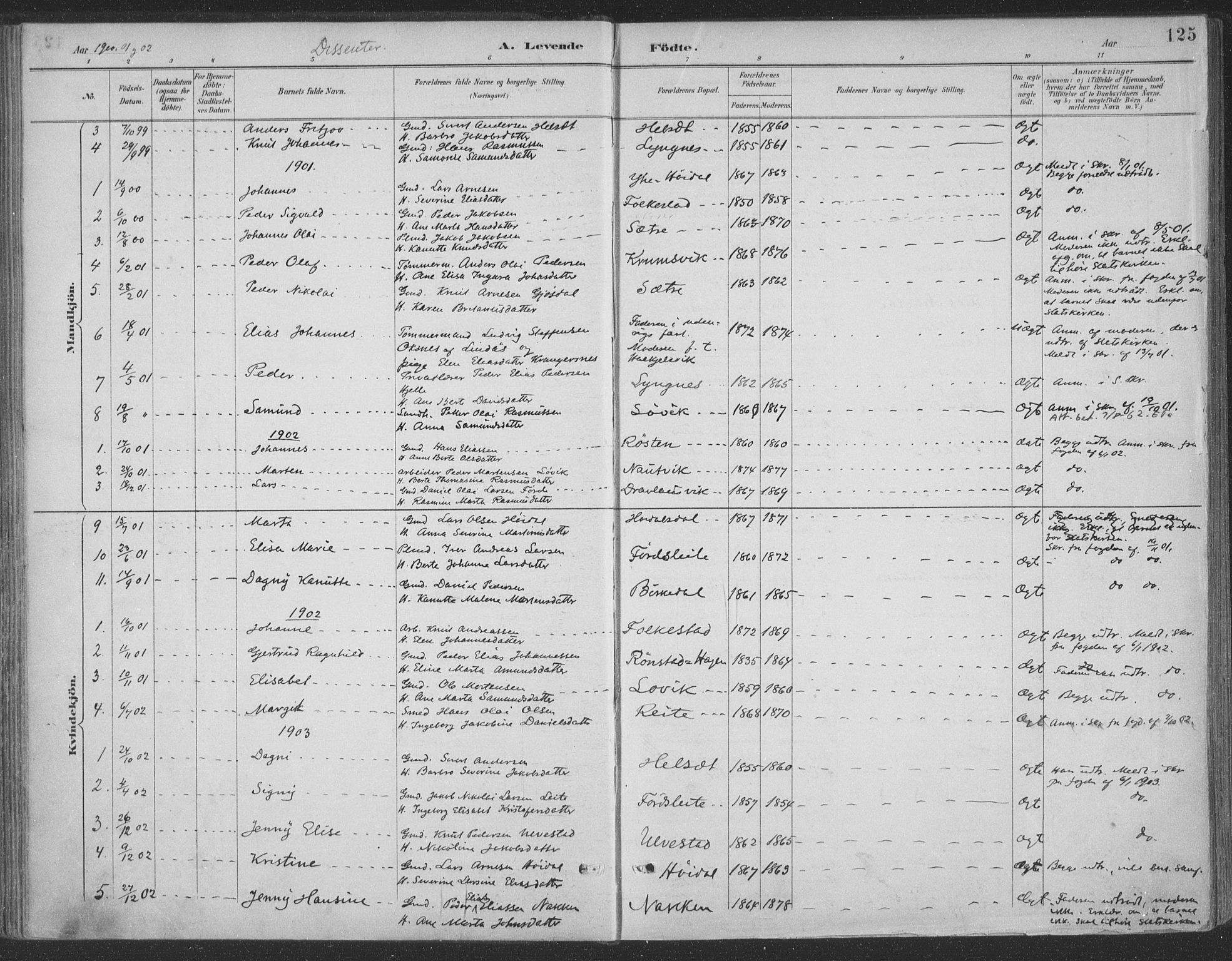 Ministerialprotokoller, klokkerbøker og fødselsregistre - Møre og Romsdal, AV/SAT-A-1454/511/L0142: Parish register (official) no. 511A09, 1891-1905, p. 125