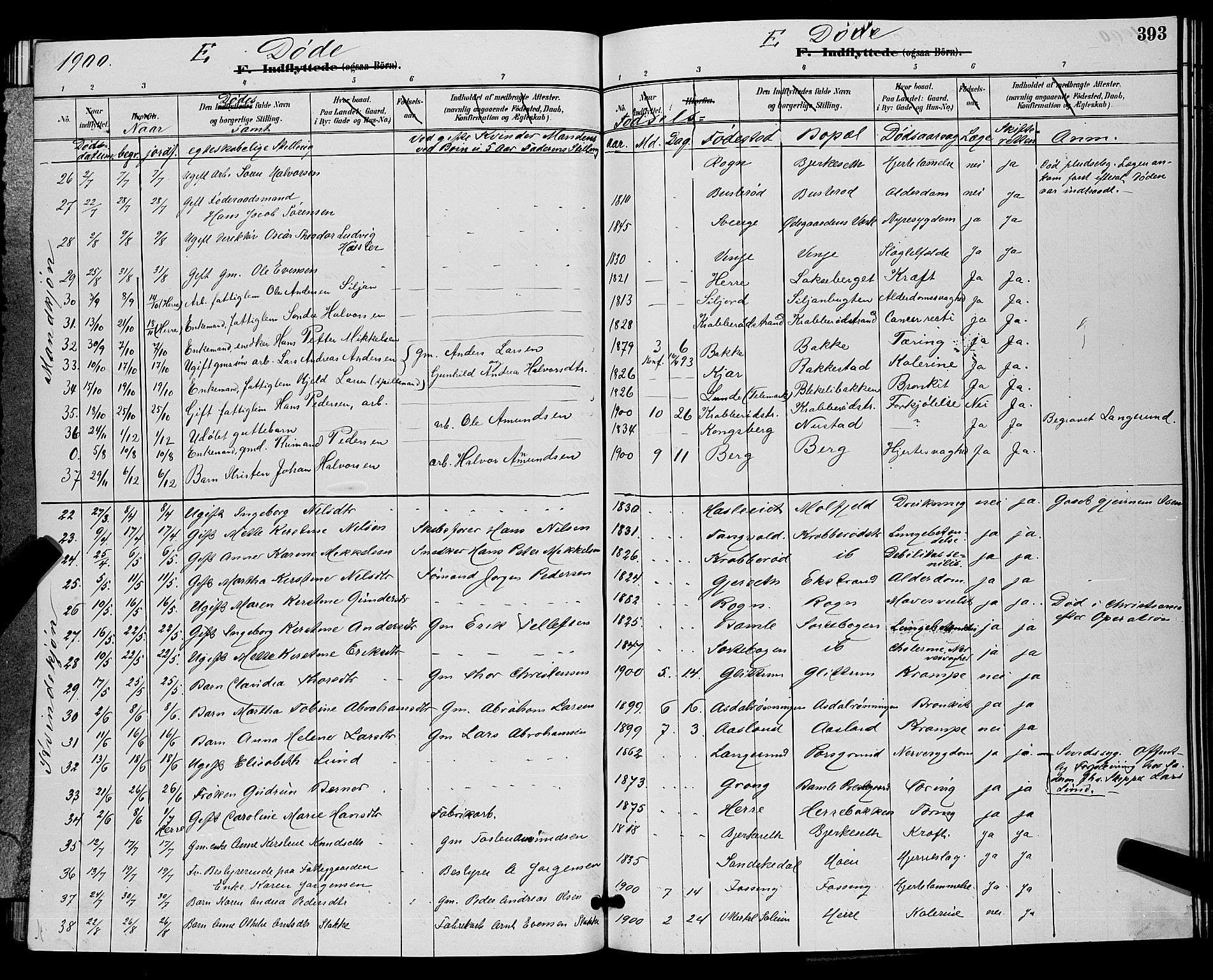 Bamble kirkebøker, AV/SAKO-A-253/G/Ga/L0009: Parish register (copy) no. I 9, 1888-1900, p. 393