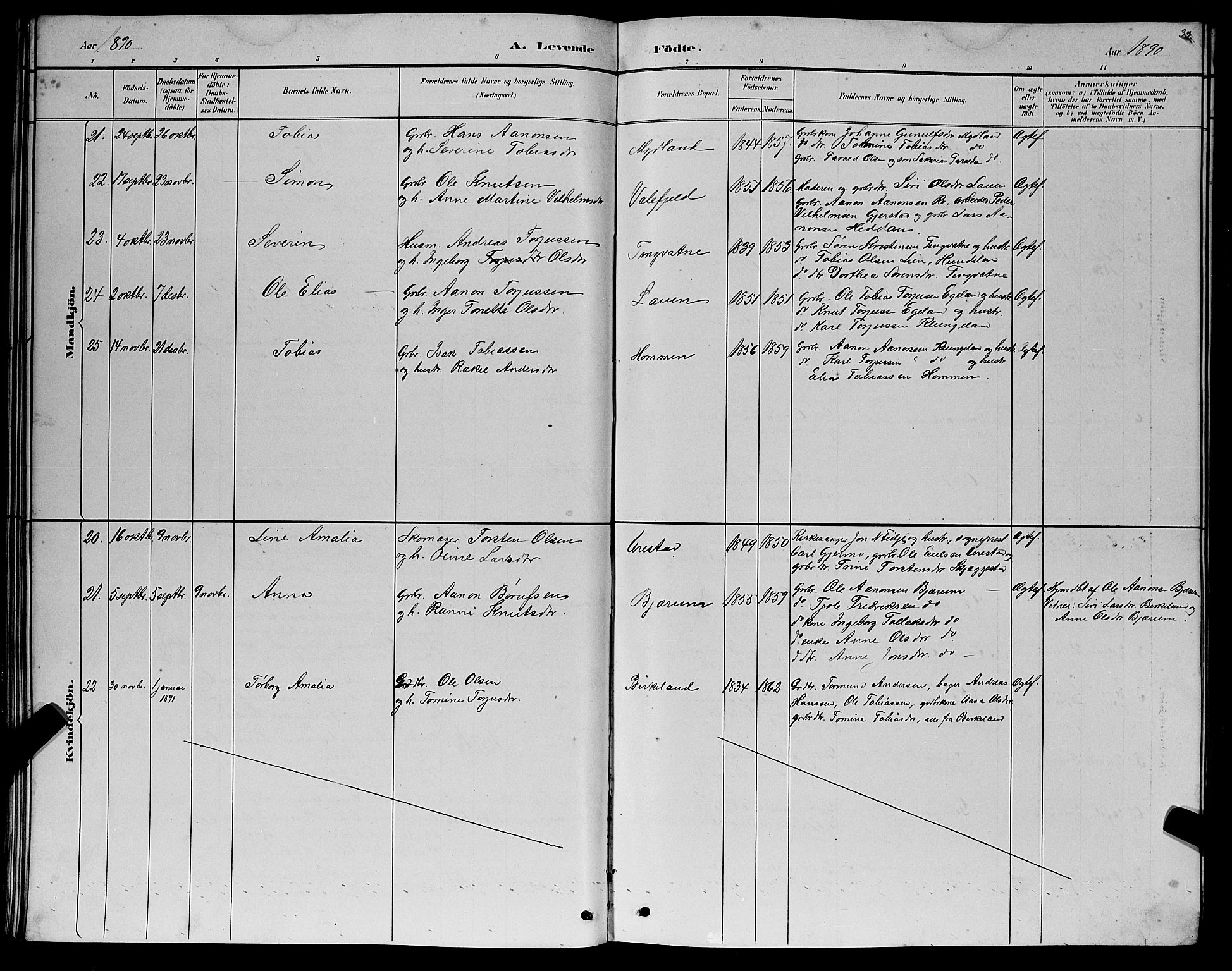 Hægebostad sokneprestkontor, AV/SAK-1111-0024/F/Fb/Fba/L0003: Parish register (copy) no. B 3, 1883-1896, p. 33