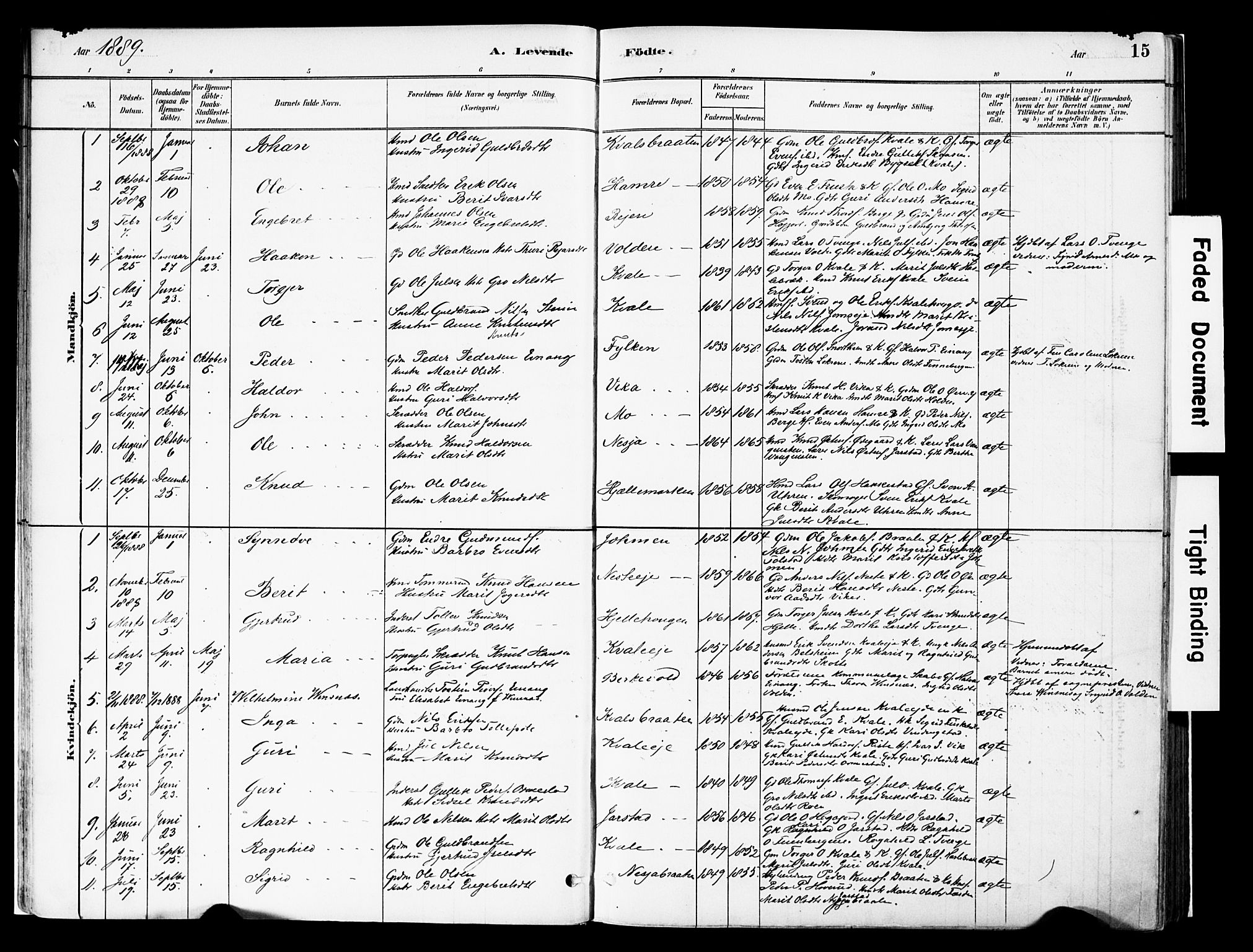 Vestre Slidre prestekontor, AV/SAH-PREST-136/H/Ha/Haa/L0004: Parish register (official) no. 4, 1881-1911, p. 15