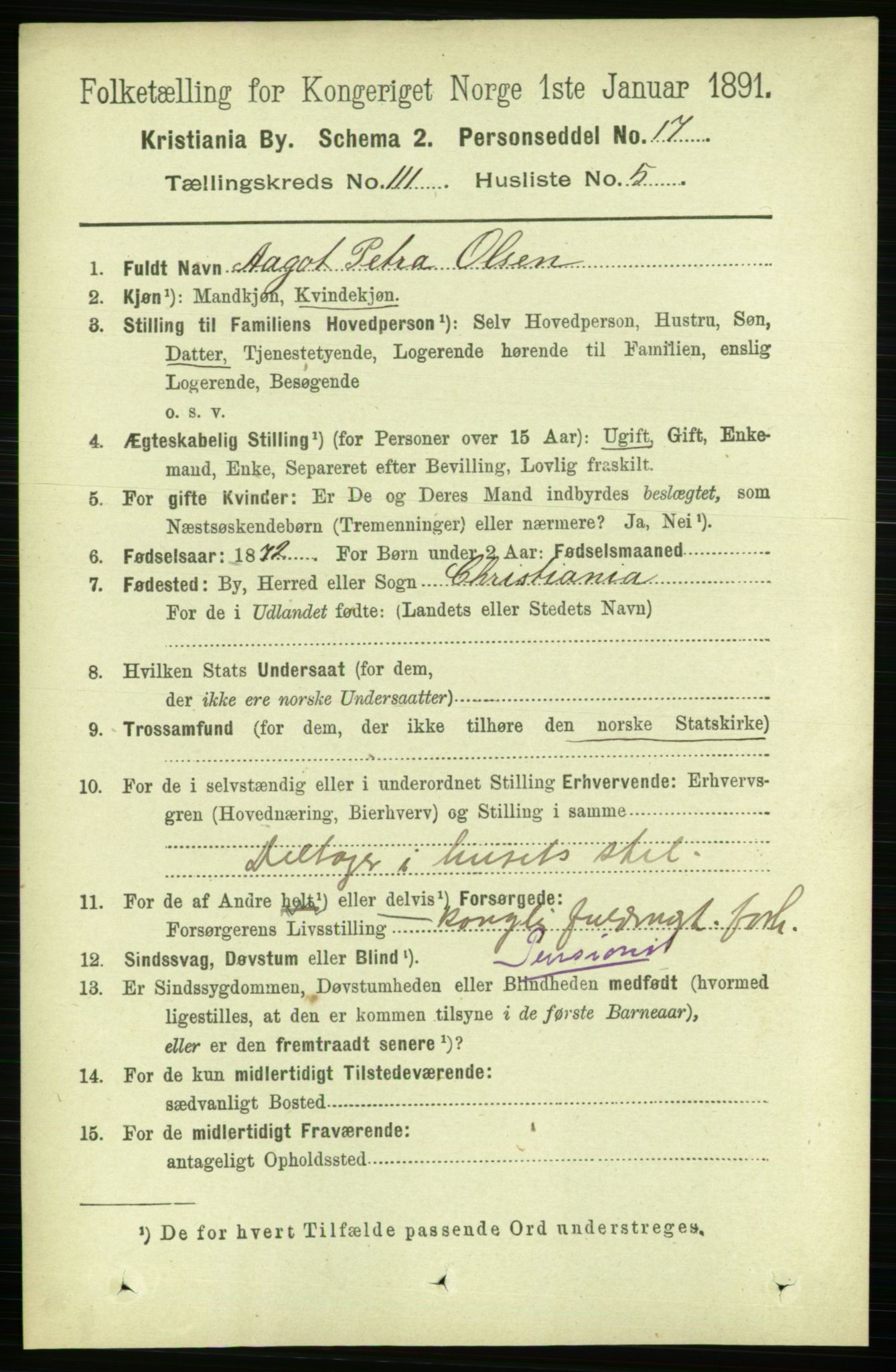 RA, 1891 census for 0301 Kristiania, 1891, p. 58080