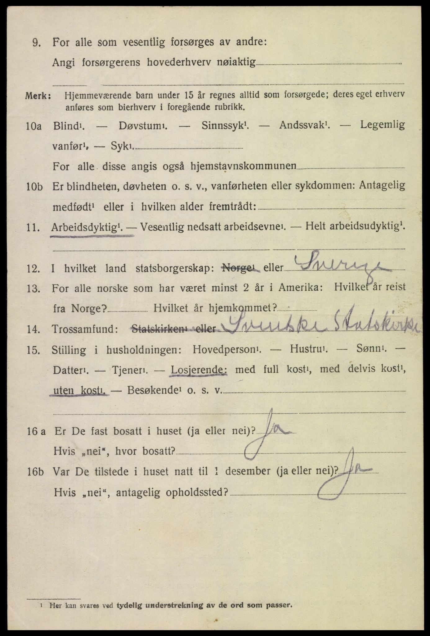 SAH, 1920 census for Heidal, 1920, p. 2017