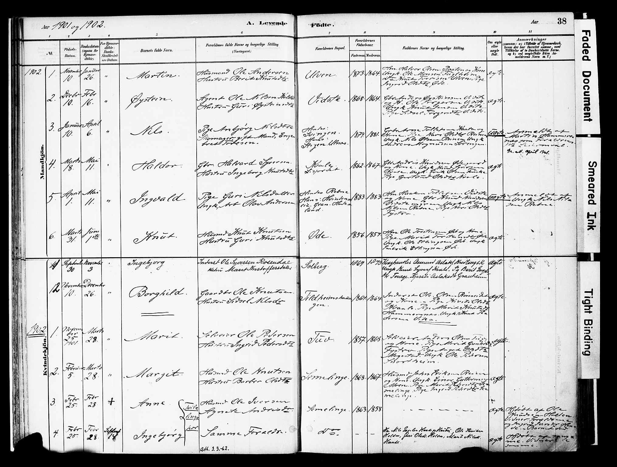 Vestre Slidre prestekontor, AV/SAH-PREST-136/H/Ha/Haa/L0006: Parish register (official) no. 6, 1881-1912, p. 38