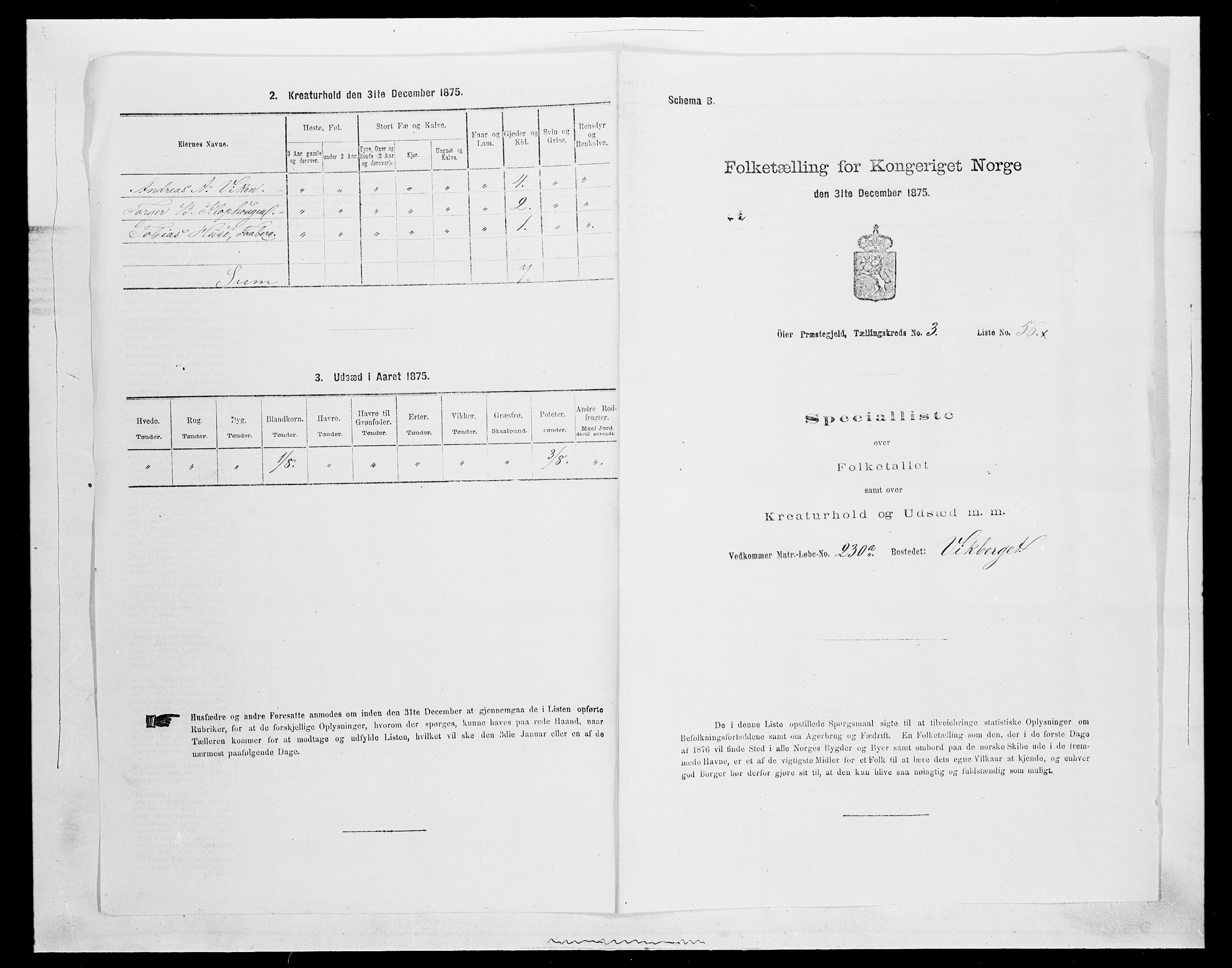 SAH, 1875 census for 0521P Øyer, 1875, p. 715