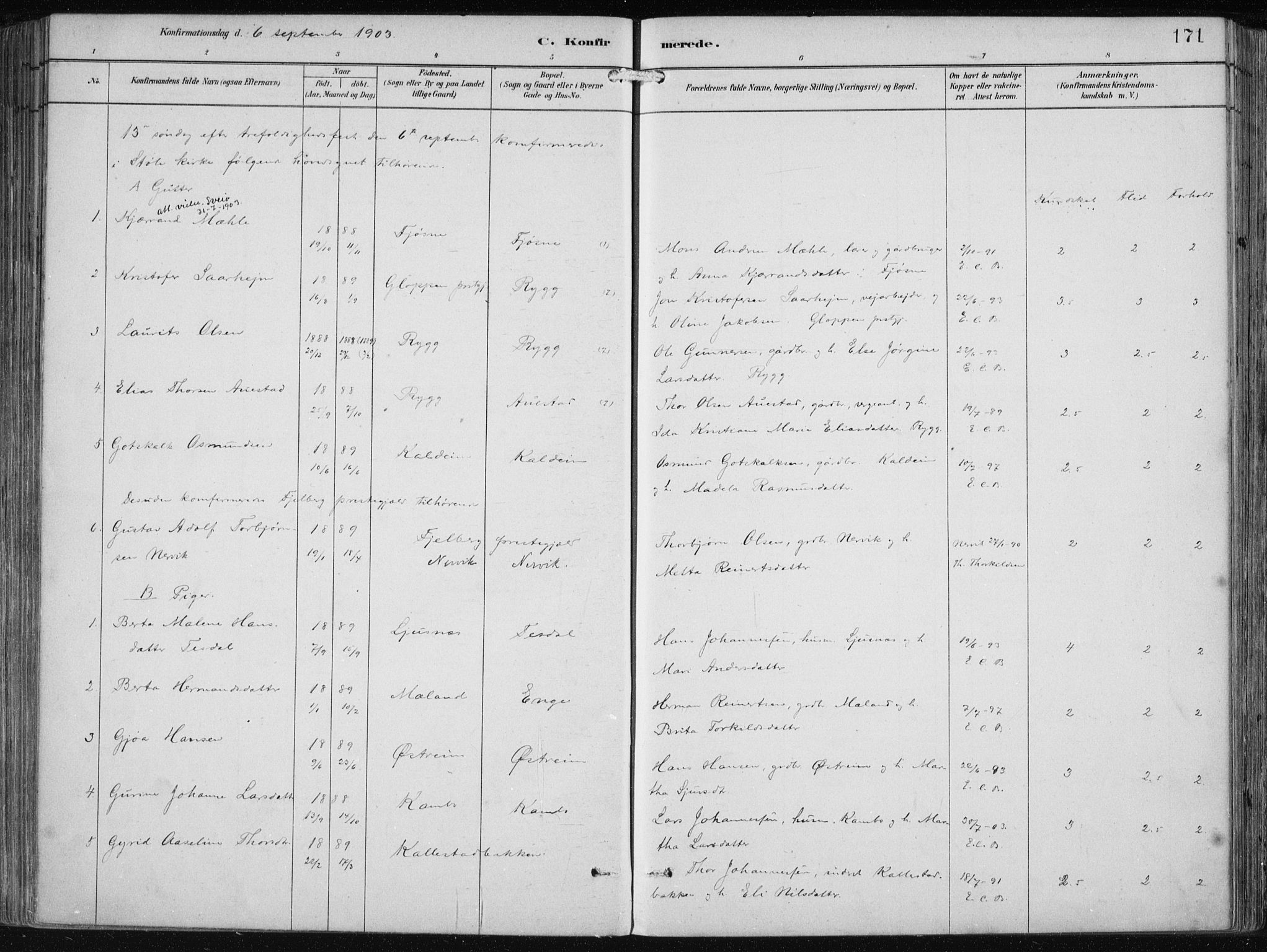 Etne sokneprestembete, SAB/A-75001/H/Haa: Parish register (official) no. B  1, 1879-1919, p. 171