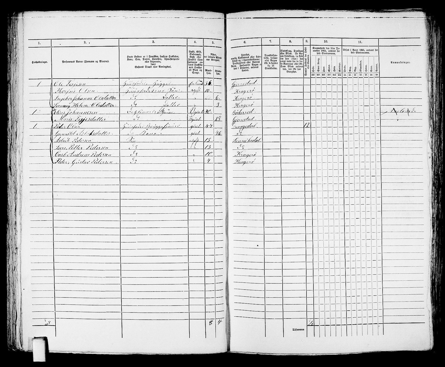 RA, 1865 census for Kragerø/Kragerø, 1865, p. 224