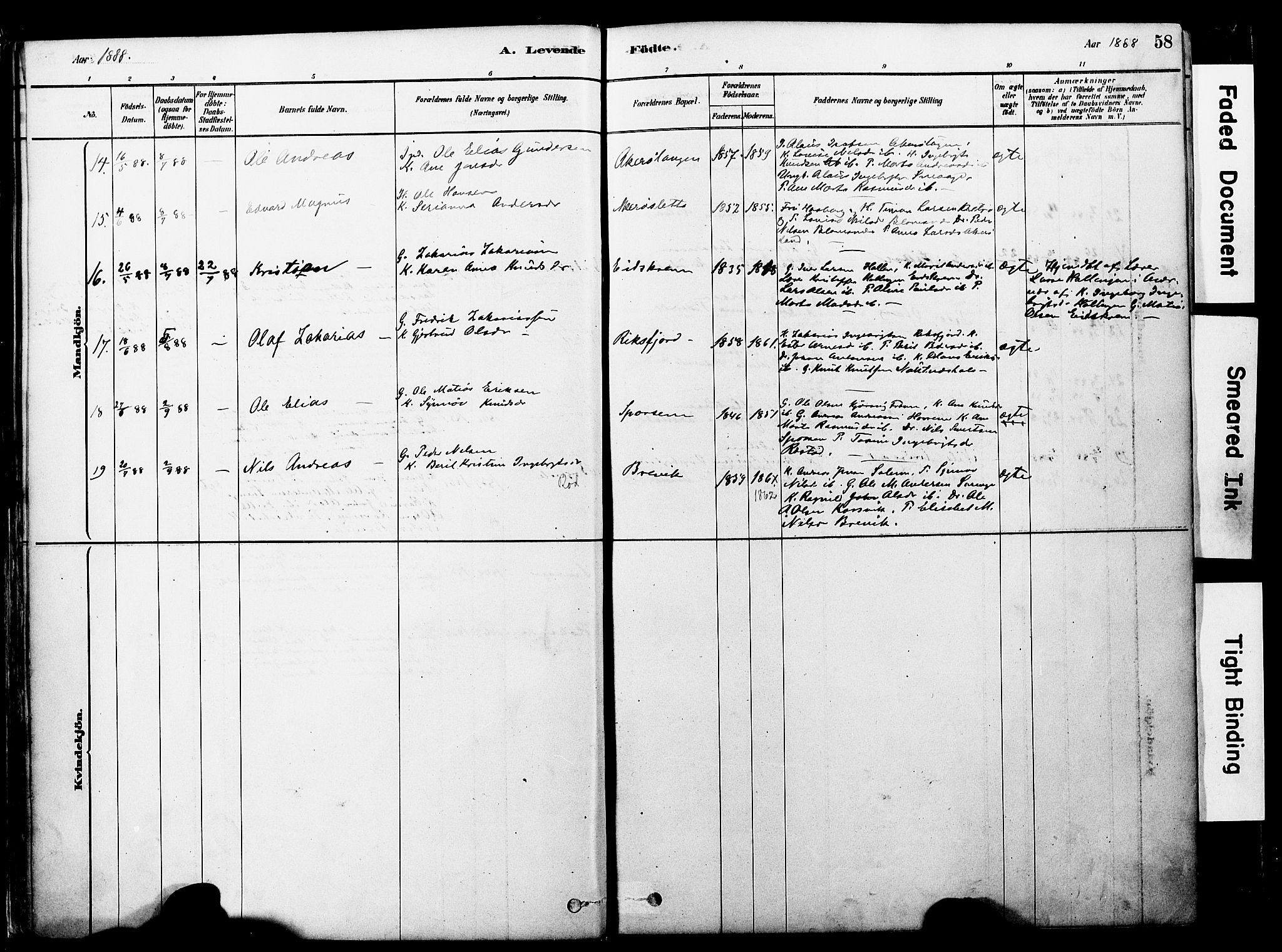 Ministerialprotokoller, klokkerbøker og fødselsregistre - Møre og Romsdal, AV/SAT-A-1454/560/L0721: Parish register (official) no. 560A05, 1878-1917, p. 58