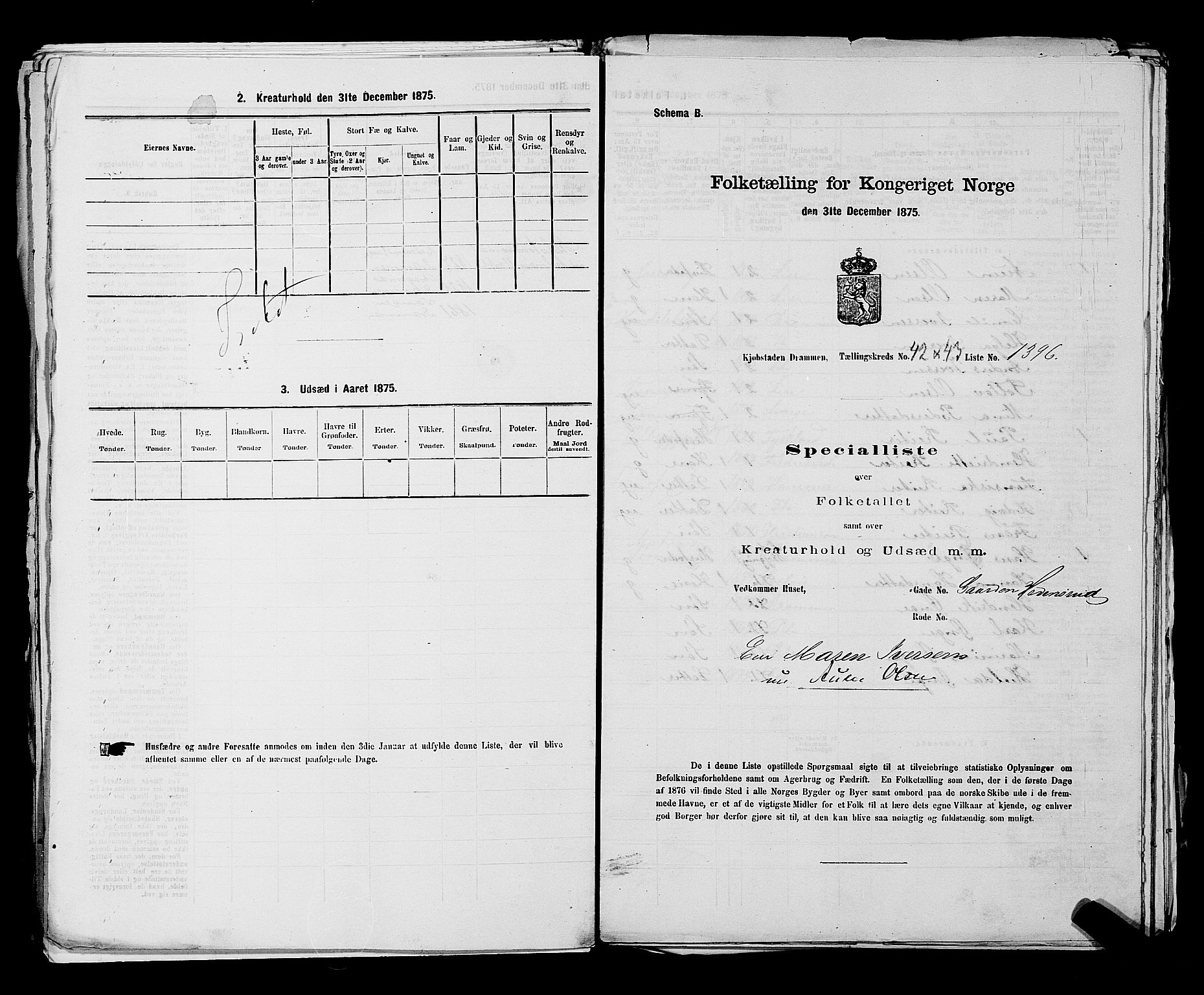 SAKO, 1875 census for 0602 Drammen, 1875, p. 3610