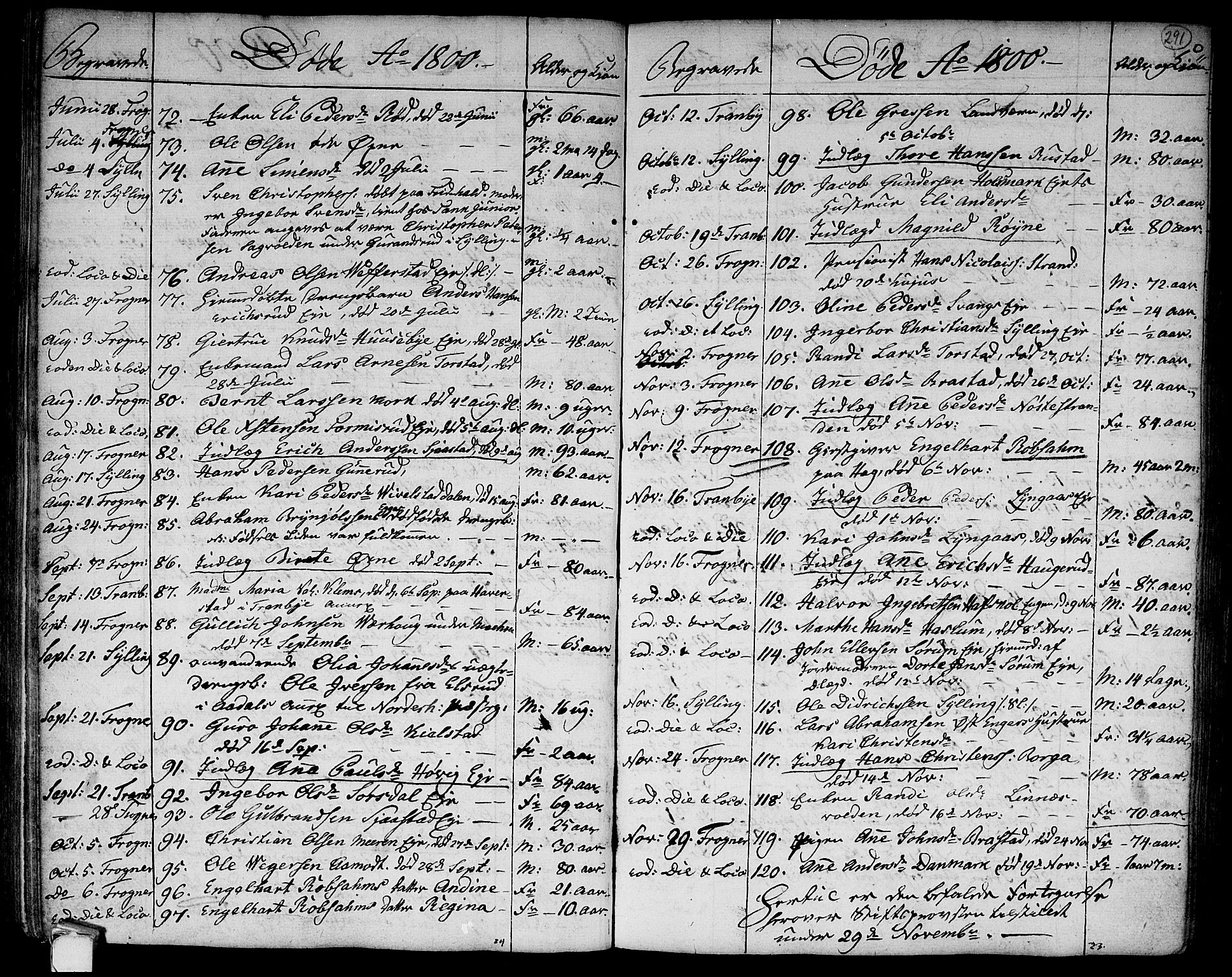 Lier kirkebøker, SAKO/A-230/F/Fa/L0007: Parish register (official) no. I 7, 1794-1813, p. 291