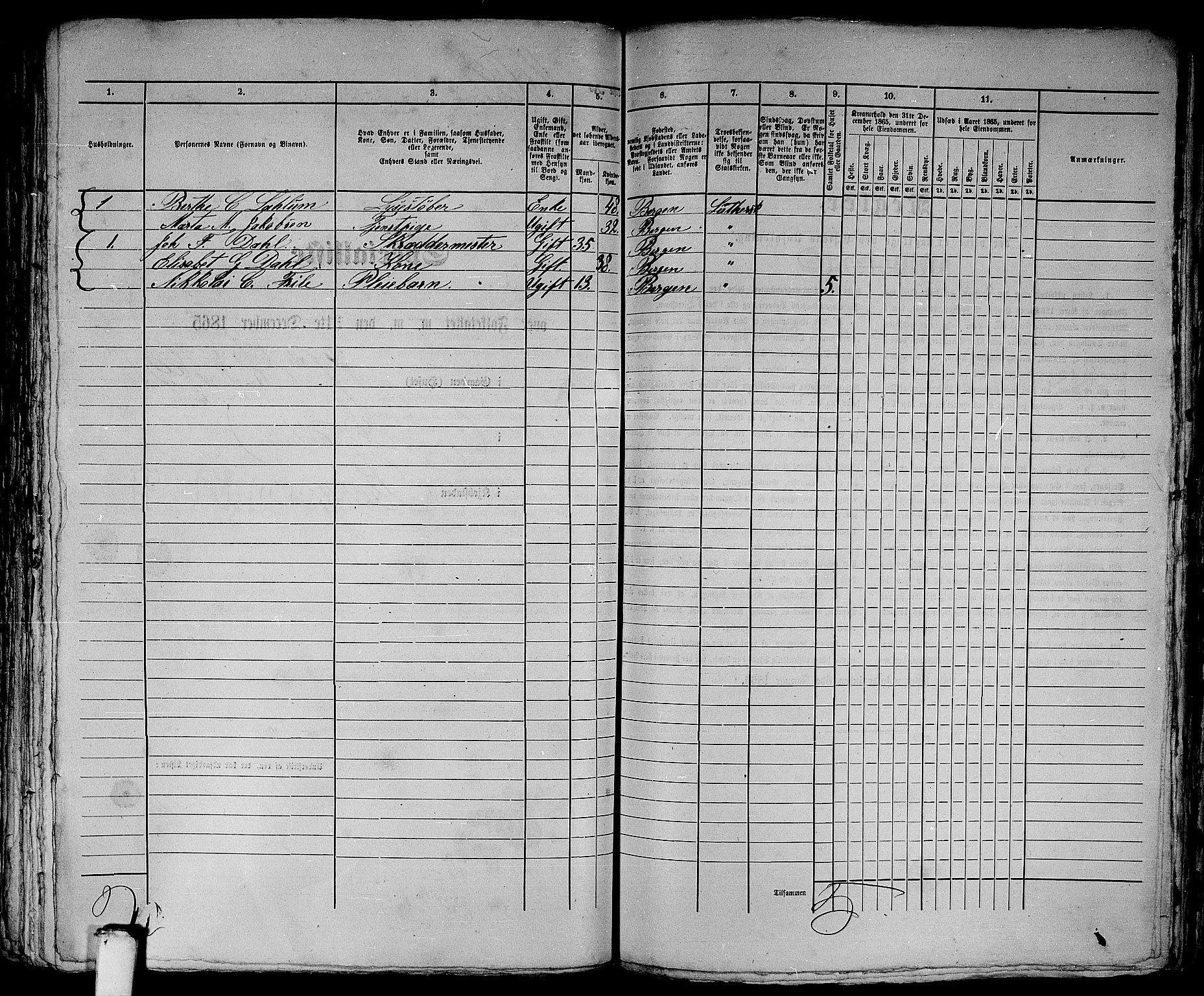 RA, 1865 census for Bergen, 1865, p. 3391