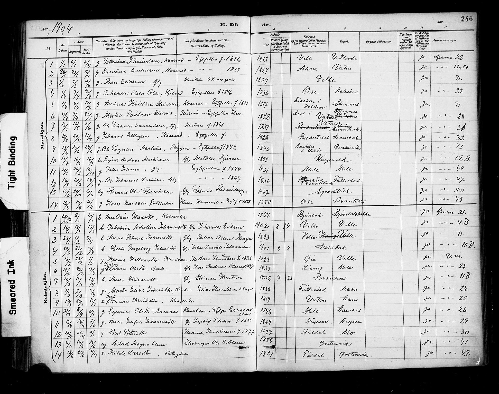 Ministerialprotokoller, klokkerbøker og fødselsregistre - Møre og Romsdal, AV/SAT-A-1454/513/L0177: Parish register (official) no. 513A04, 1890-1906, p. 246