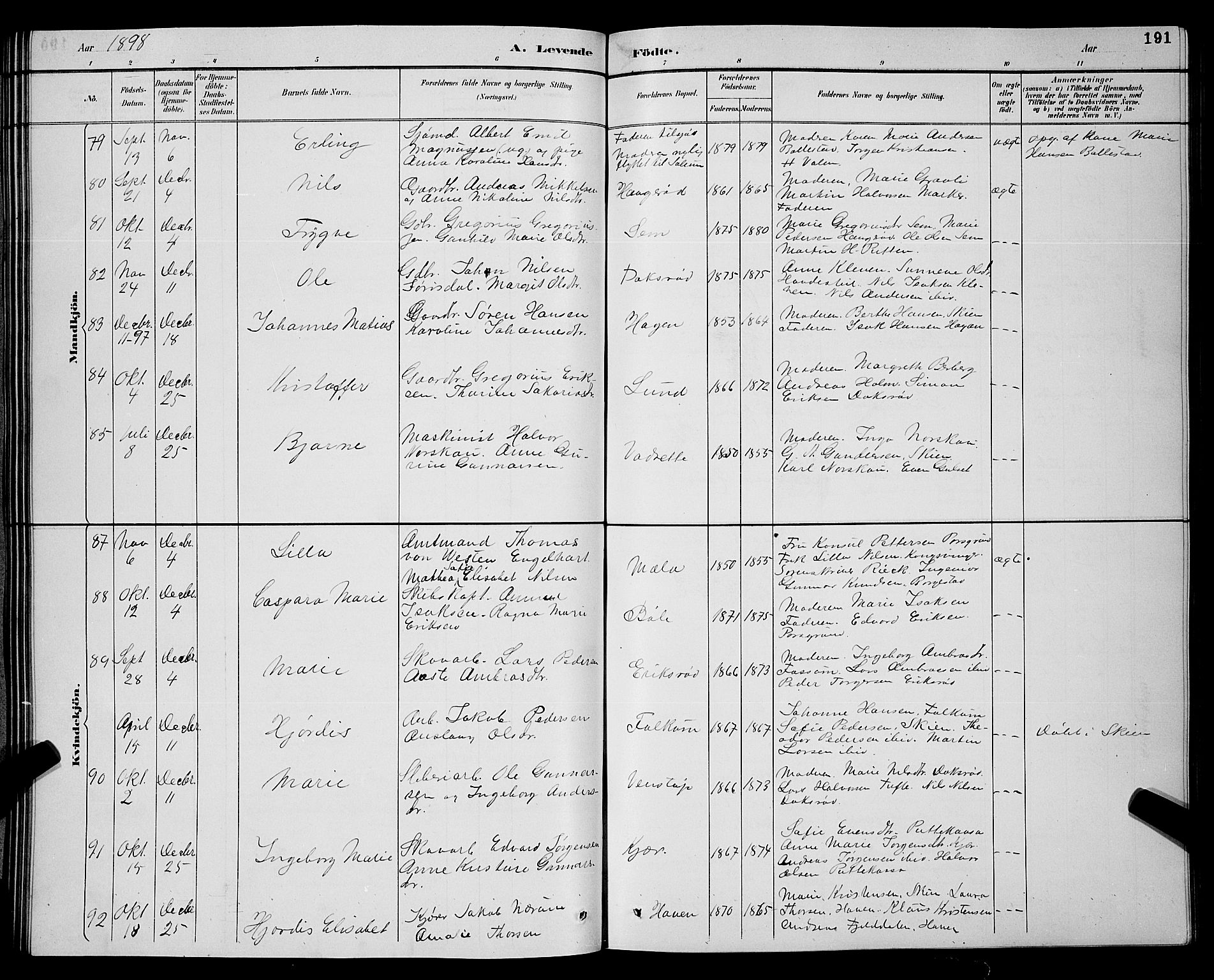 Gjerpen kirkebøker, AV/SAKO-A-265/G/Ga/L0002: Parish register (copy) no. I 2, 1883-1900, p. 191
