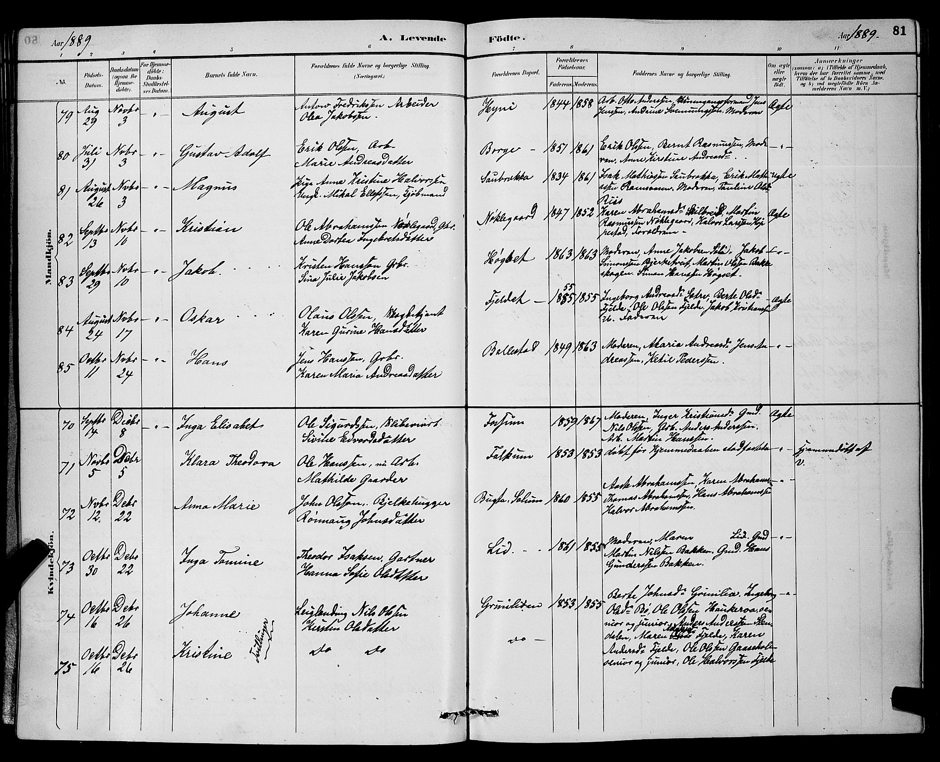 Gjerpen kirkebøker, AV/SAKO-A-265/G/Ga/L0002: Parish register (copy) no. I 2, 1883-1900, p. 81