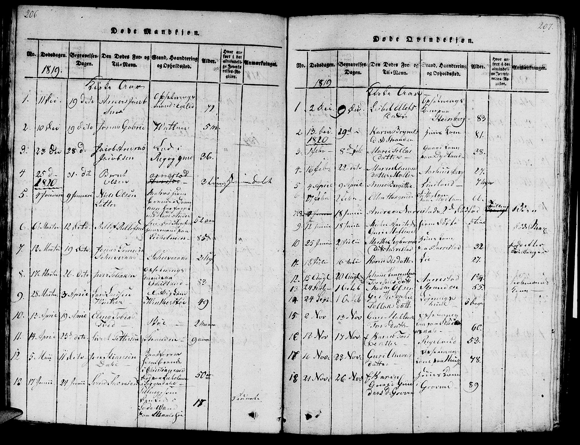 Sokndal sokneprestkontor, SAST/A-101808: Parish register (official) no. A 6, 1815-1826, p. 206-207