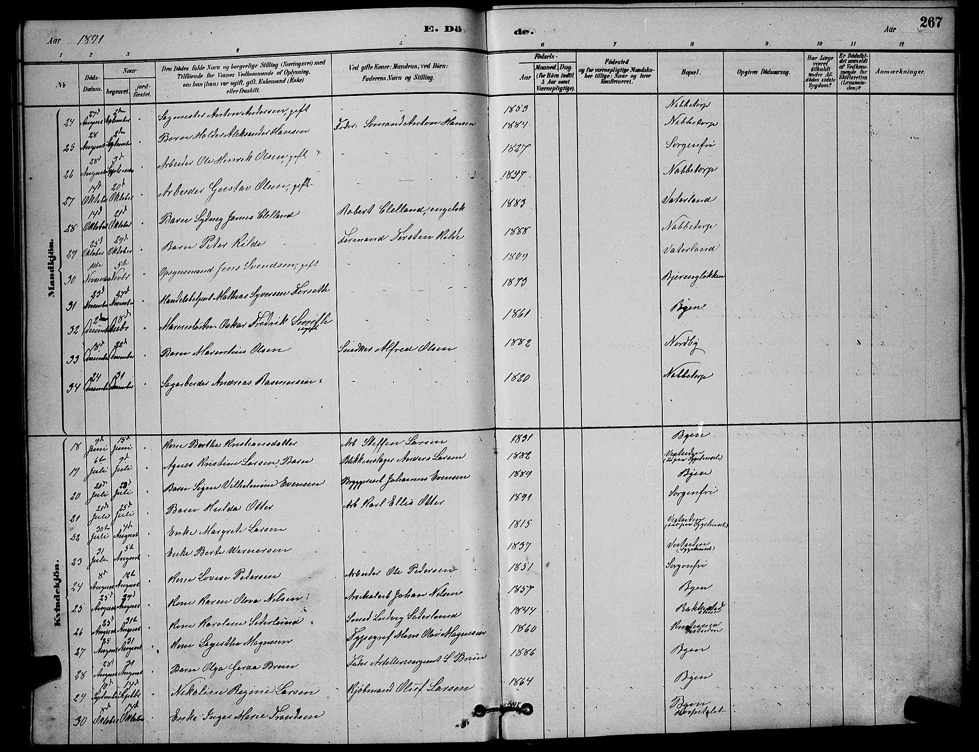 Østre Fredrikstad prestekontor Kirkebøker, AV/SAO-A-10907/G/Ga/L0001: Parish register (copy) no. 1, 1880-1899, p. 267