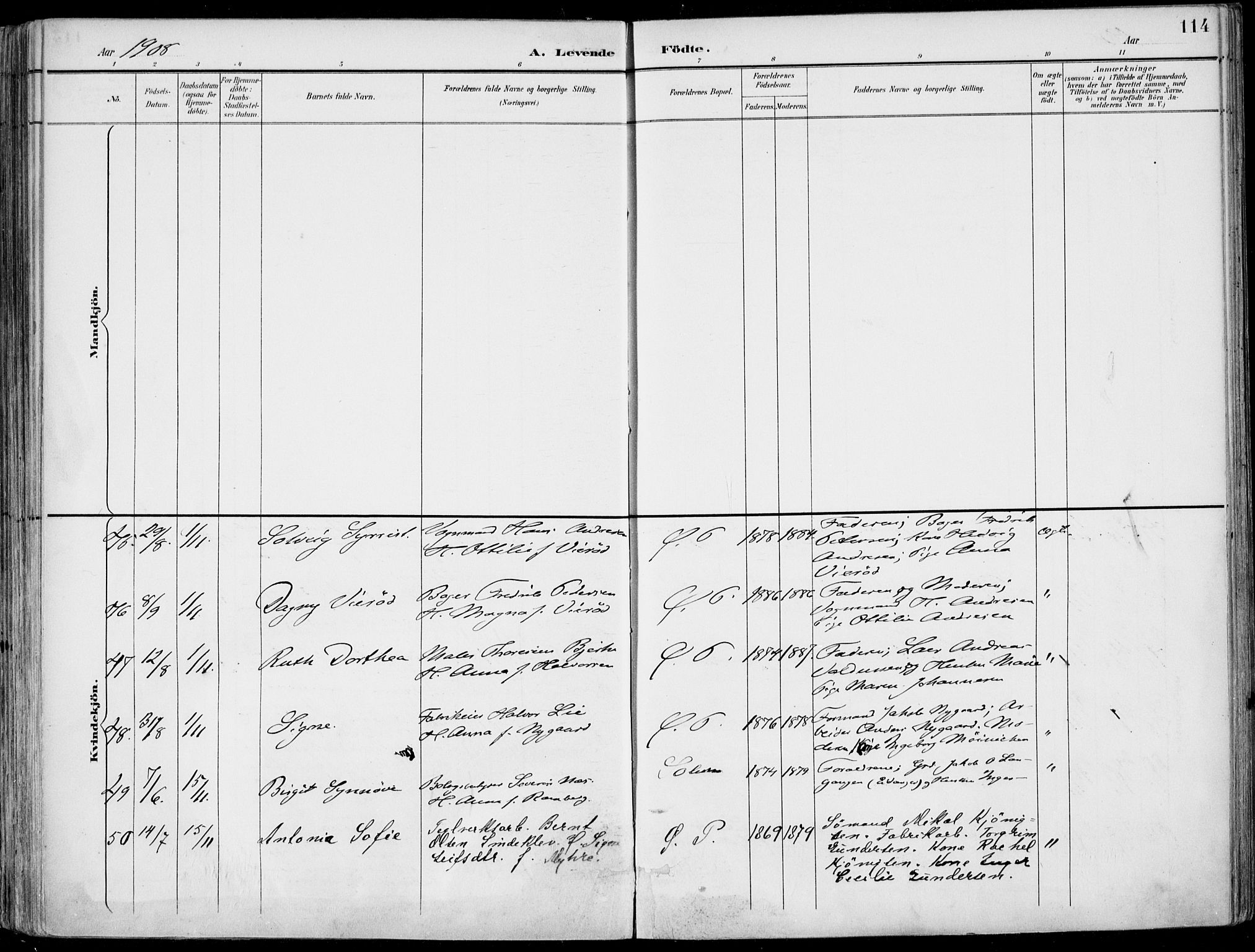 Porsgrunn kirkebøker , AV/SAKO-A-104/F/Fa/L0010: Parish register (official) no. 10, 1895-1919, p. 114