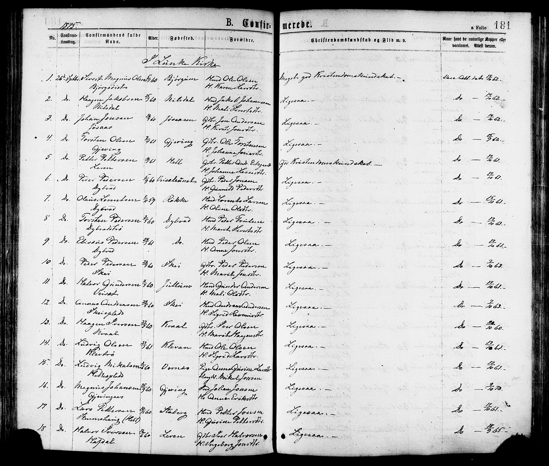 Ministerialprotokoller, klokkerbøker og fødselsregistre - Nord-Trøndelag, SAT/A-1458/709/L0076: Parish register (official) no. 709A16, 1871-1879, p. 181