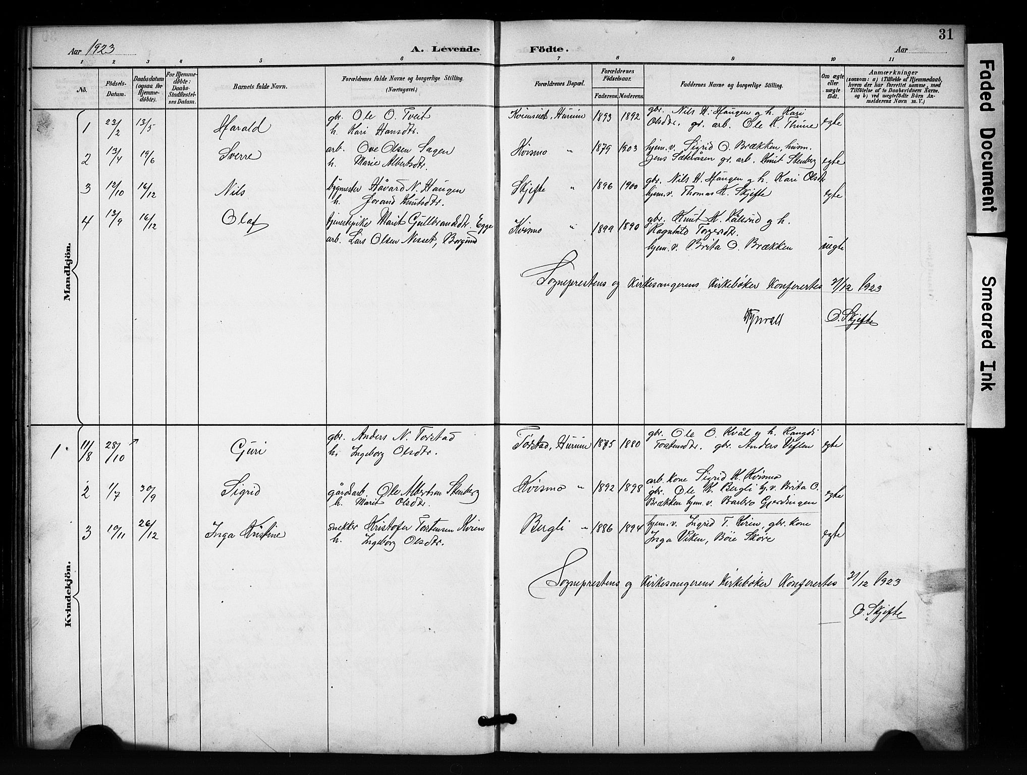 Vang prestekontor, Valdres, SAH/PREST-140/H/Hb/L0007: Parish register (copy) no. 7, 1893-1924, p. 31