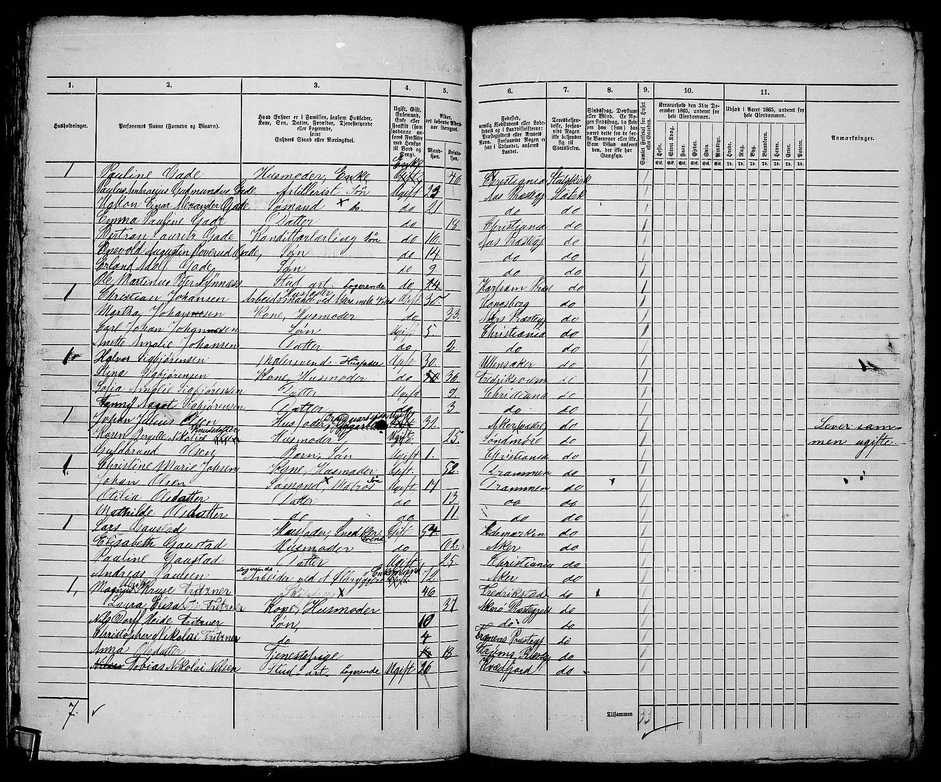 RA, 1865 census for Kristiania, 1865, p. 2952