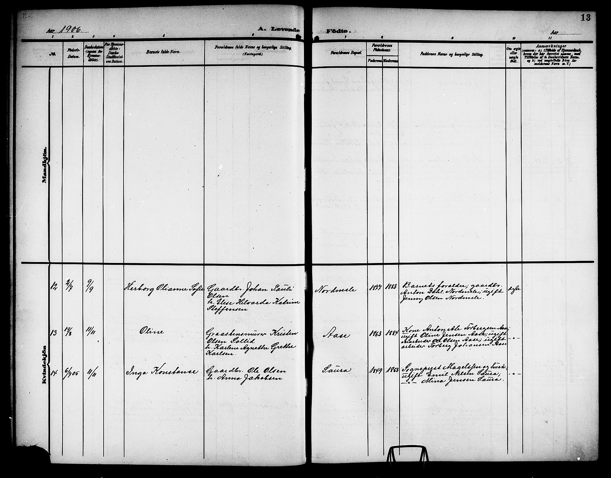 Ministerialprotokoller, klokkerbøker og fødselsregistre - Nordland, AV/SAT-A-1459/897/L1414: Parish register (copy) no. 897C04, 1904-1915, p. 13