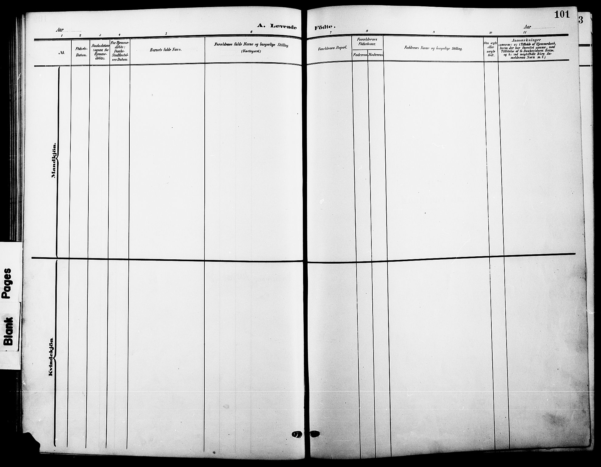 Våler prestekontor, Hedmark, AV/SAH-PREST-040/H/Ha/Hab/L0002: Parish register (copy) no. 2, 1905-1915, p. 101