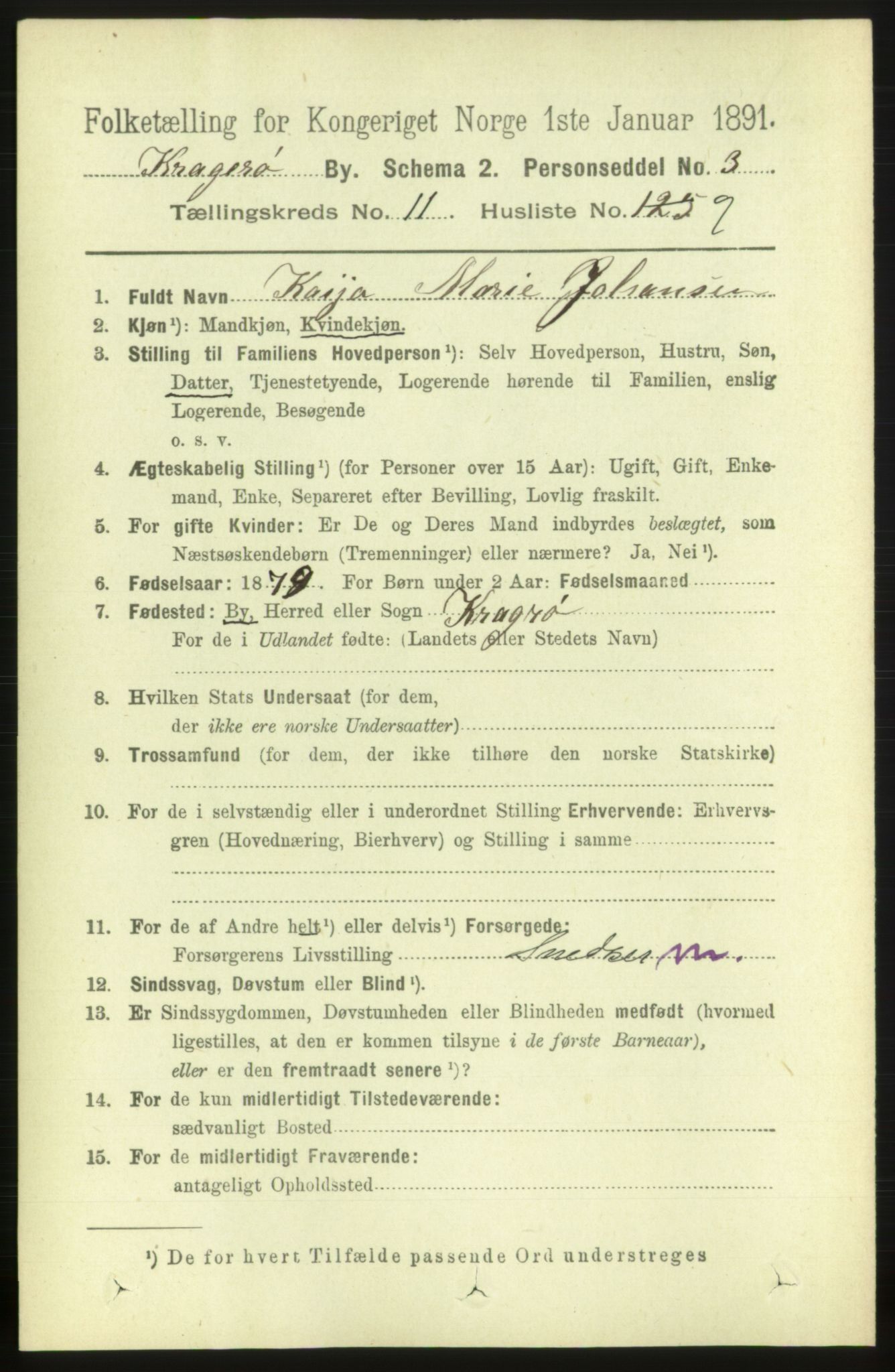 RA, 1891 census for 0801 Kragerø, 1891, p. 3910