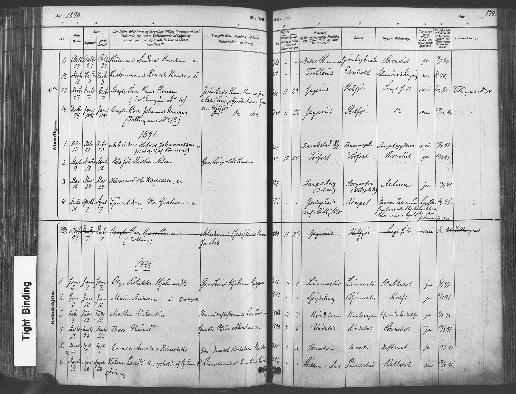 Vestby prestekontor Kirkebøker, SAO/A-10893/F/Fa/L0009: Parish register (official) no. I 9, 1878-1900, p. 179