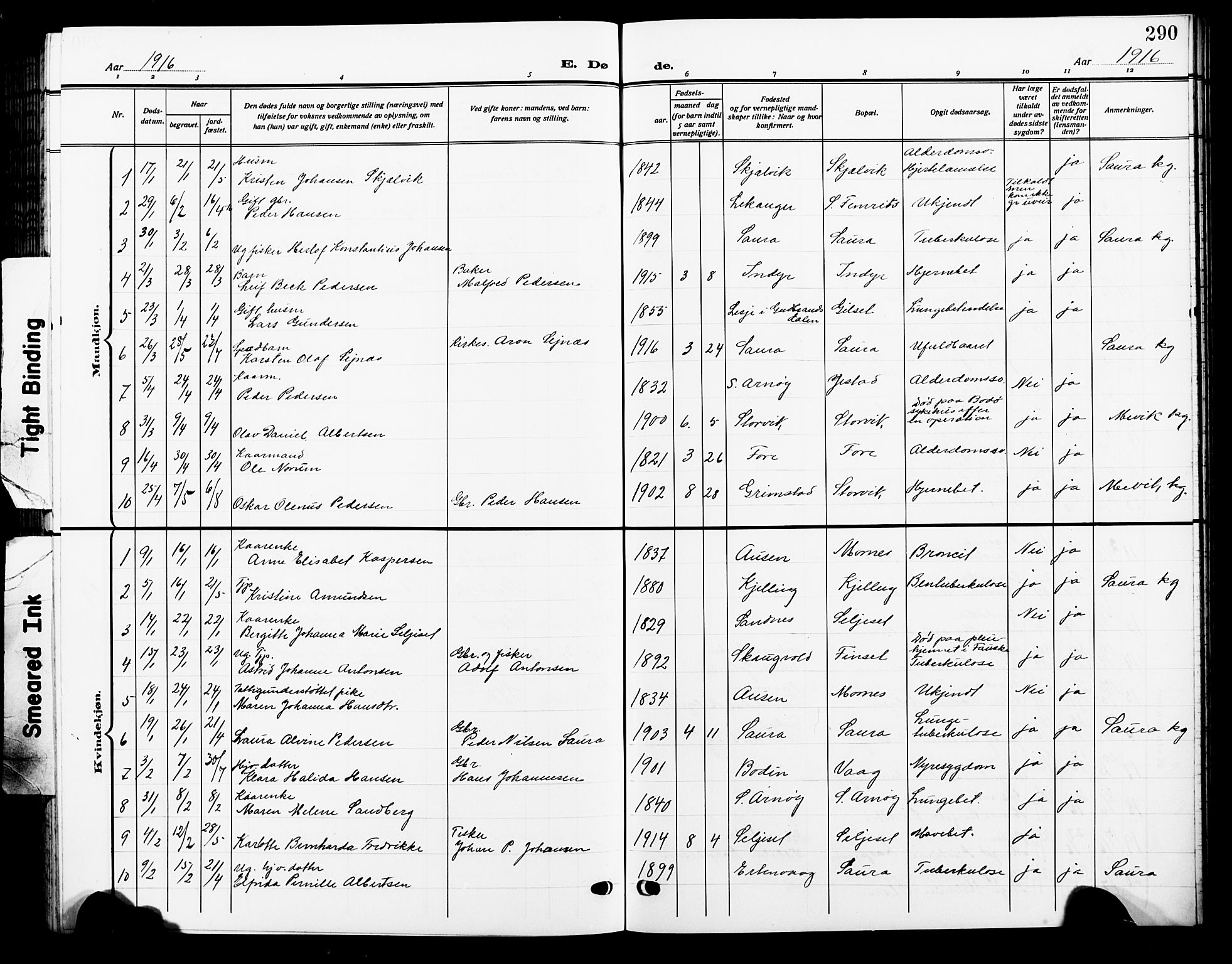 Ministerialprotokoller, klokkerbøker og fødselsregistre - Nordland, AV/SAT-A-1459/805/L0110: Parish register (copy) no. 805C06, 1909-1924, p. 290