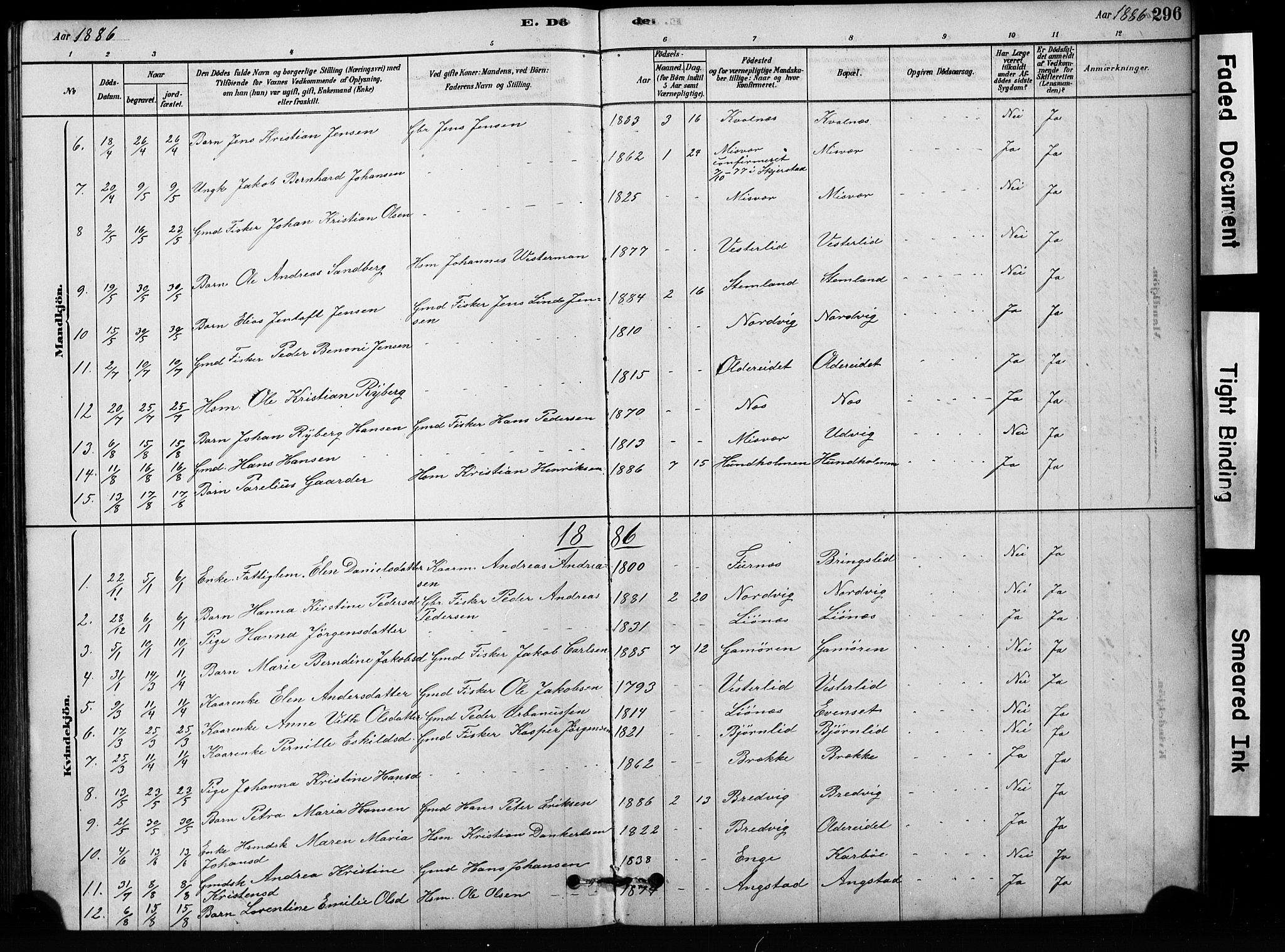 Ministerialprotokoller, klokkerbøker og fødselsregistre - Nordland, SAT/A-1459/852/L0754: Parish register (copy) no. 852C05, 1878-1894, p. 296