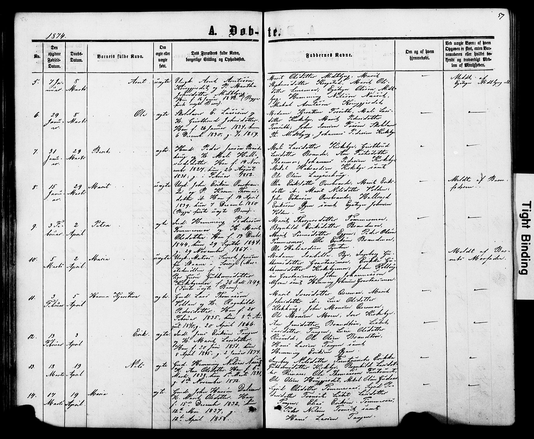 Ministerialprotokoller, klokkerbøker og fødselsregistre - Nord-Trøndelag, SAT/A-1458/706/L0049: Parish register (copy) no. 706C01, 1864-1895, p. 57