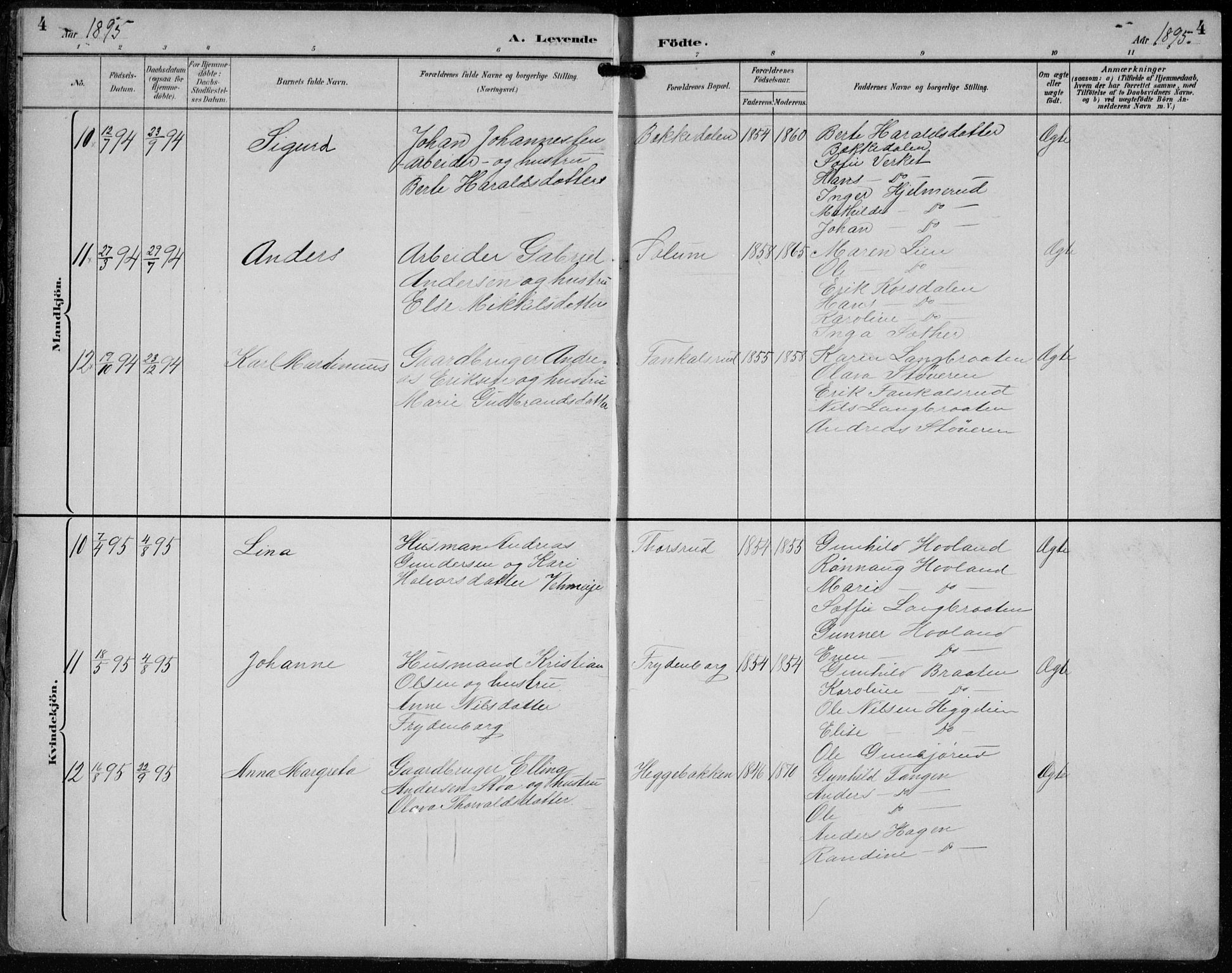 Lunder kirkebøker, AV/SAKO-A-629/F/Fb/L0001: Parish register (official) no. II 1, 1893-1916, p. 4