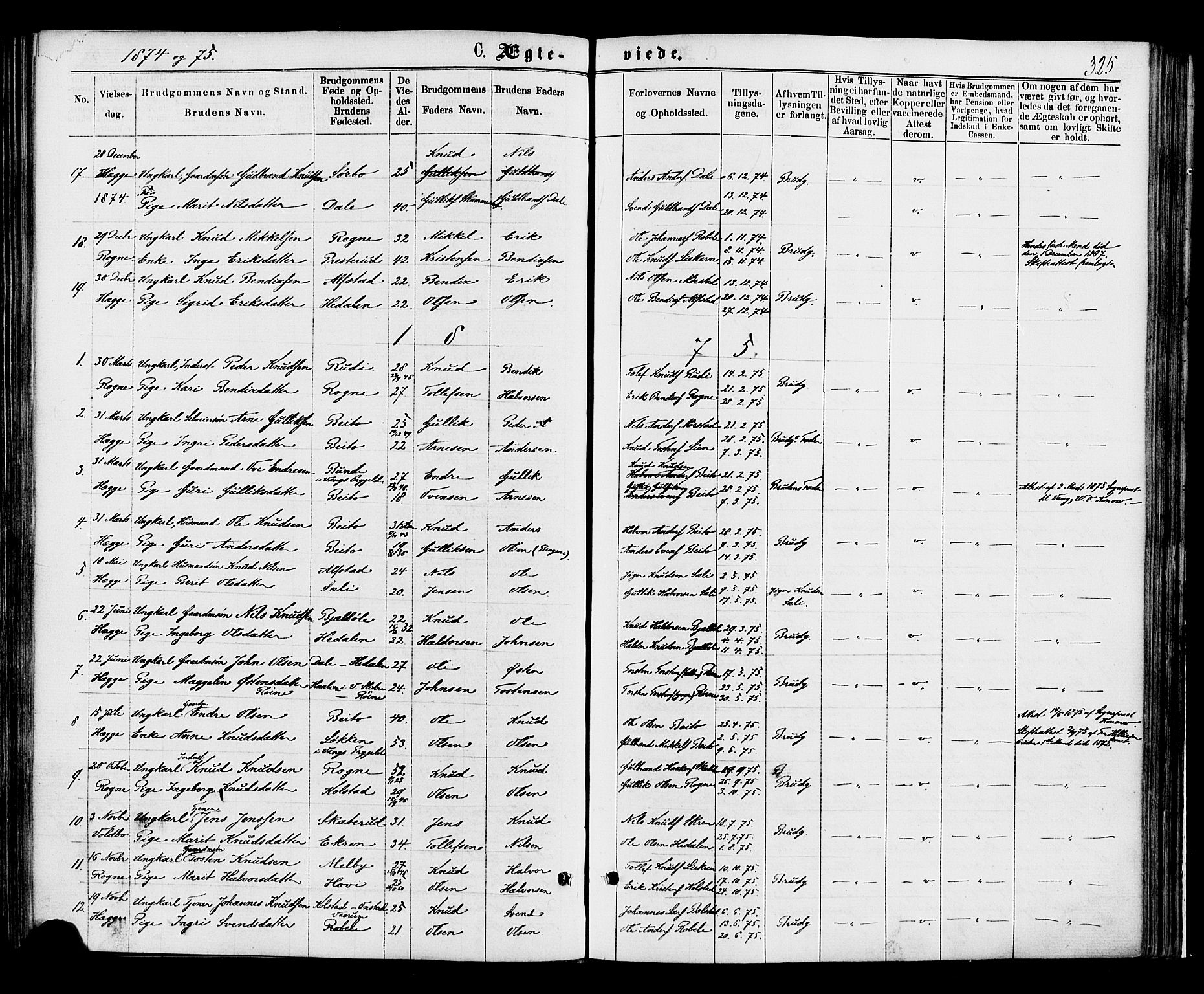 Øystre Slidre prestekontor, SAH/PREST-138/H/Ha/Haa/L0002: Parish register (official) no. 2, 1874-1886, p. 325