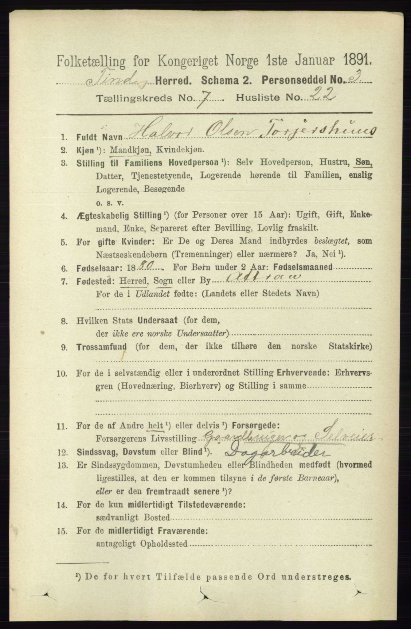 RA, 1891 census for 0826 Tinn, 1891, p. 1543