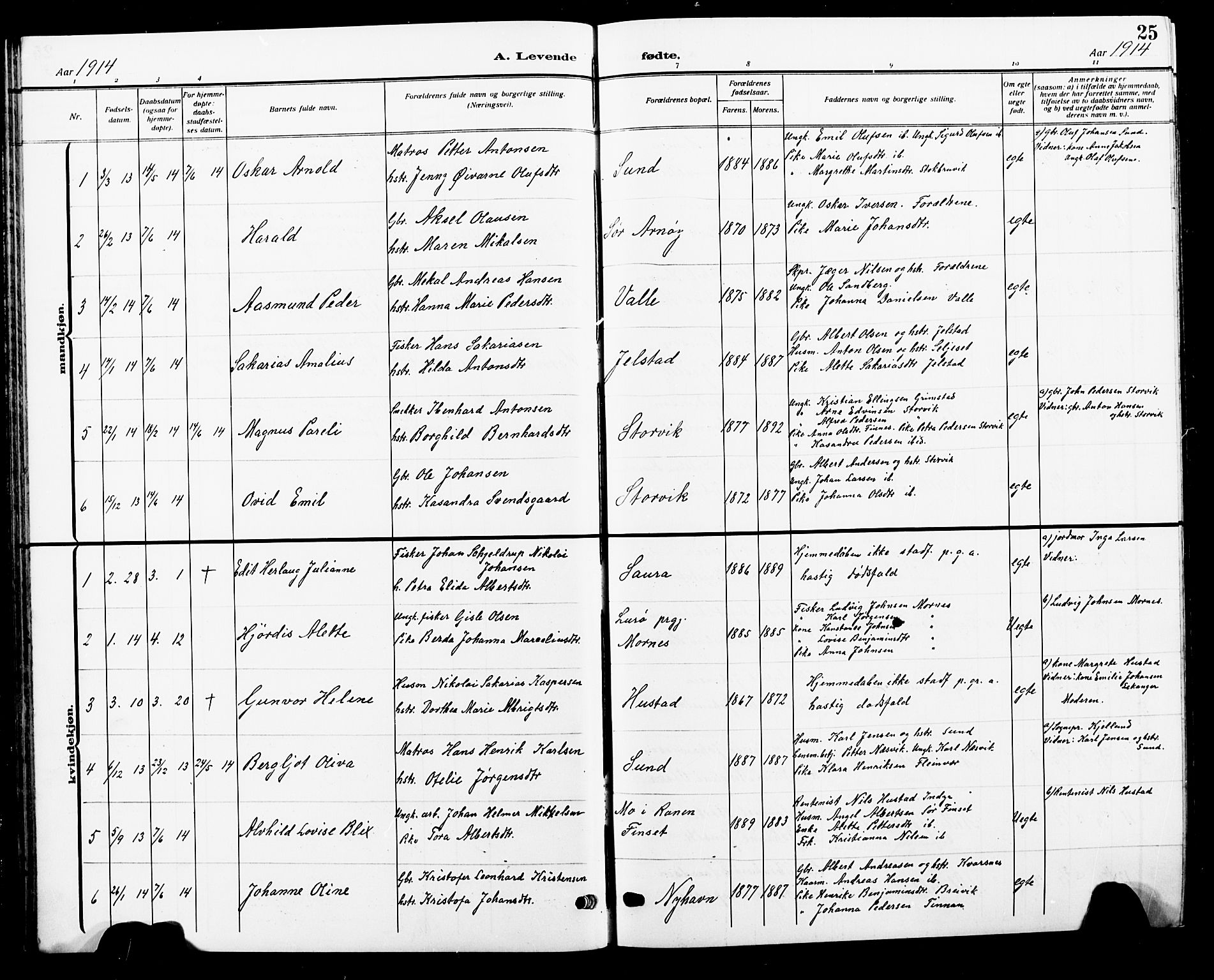 Ministerialprotokoller, klokkerbøker og fødselsregistre - Nordland, AV/SAT-A-1459/805/L0110: Parish register (copy) no. 805C06, 1909-1924, p. 25