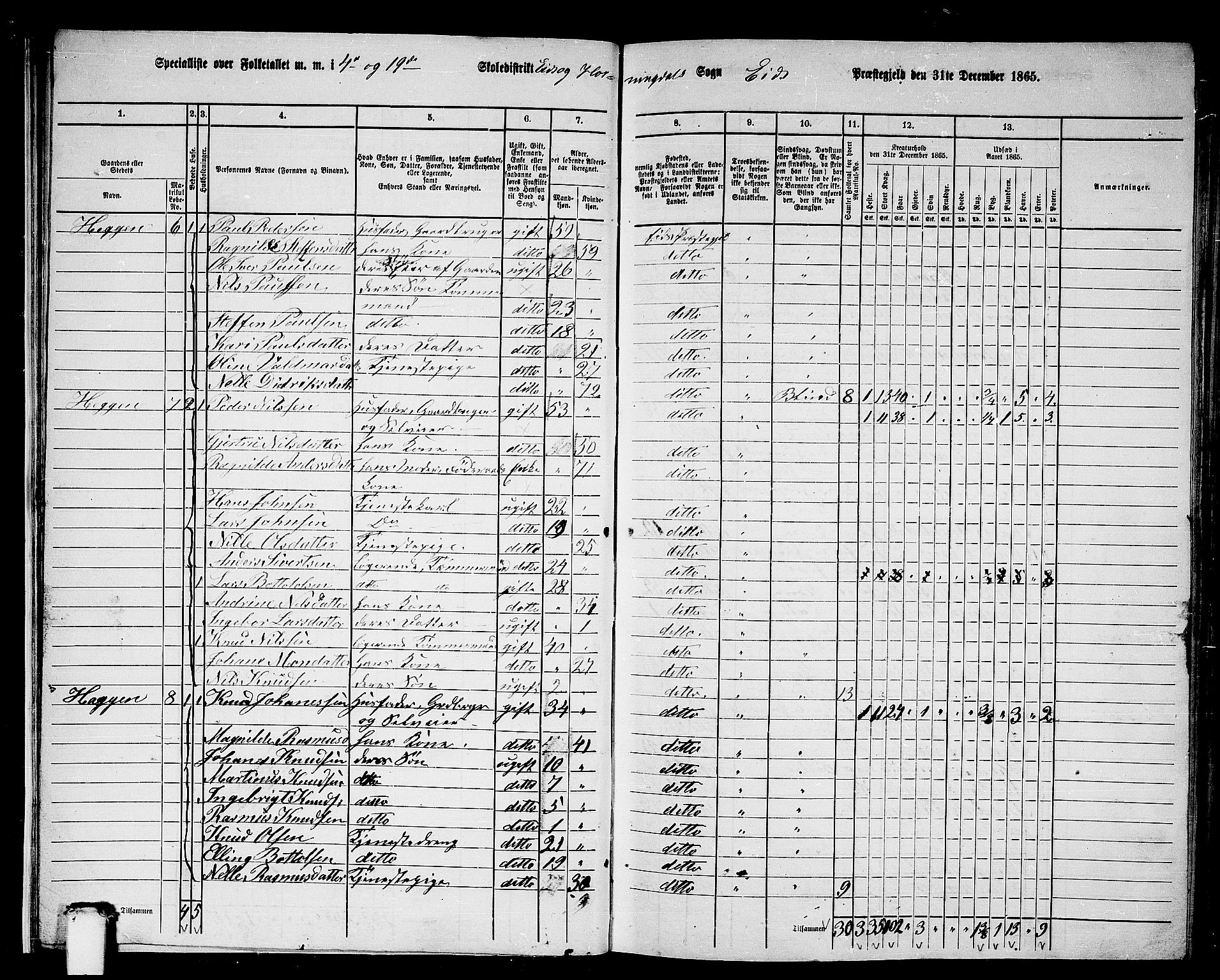 RA, 1865 census for Eid, 1865, p. 18