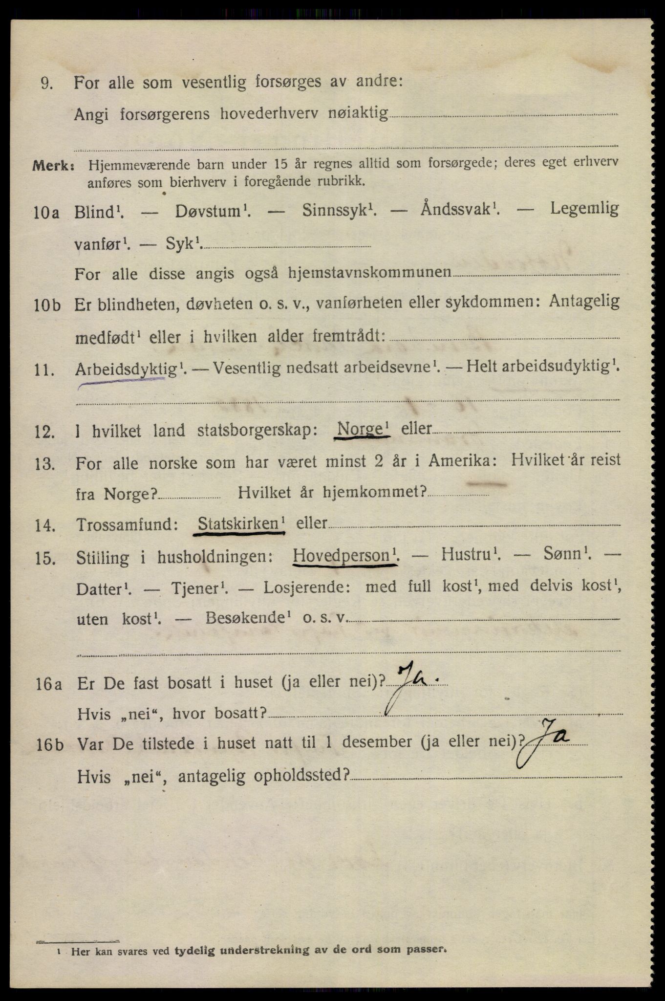 SAKO, 1920 census for Notodden, 1920, p. 10093