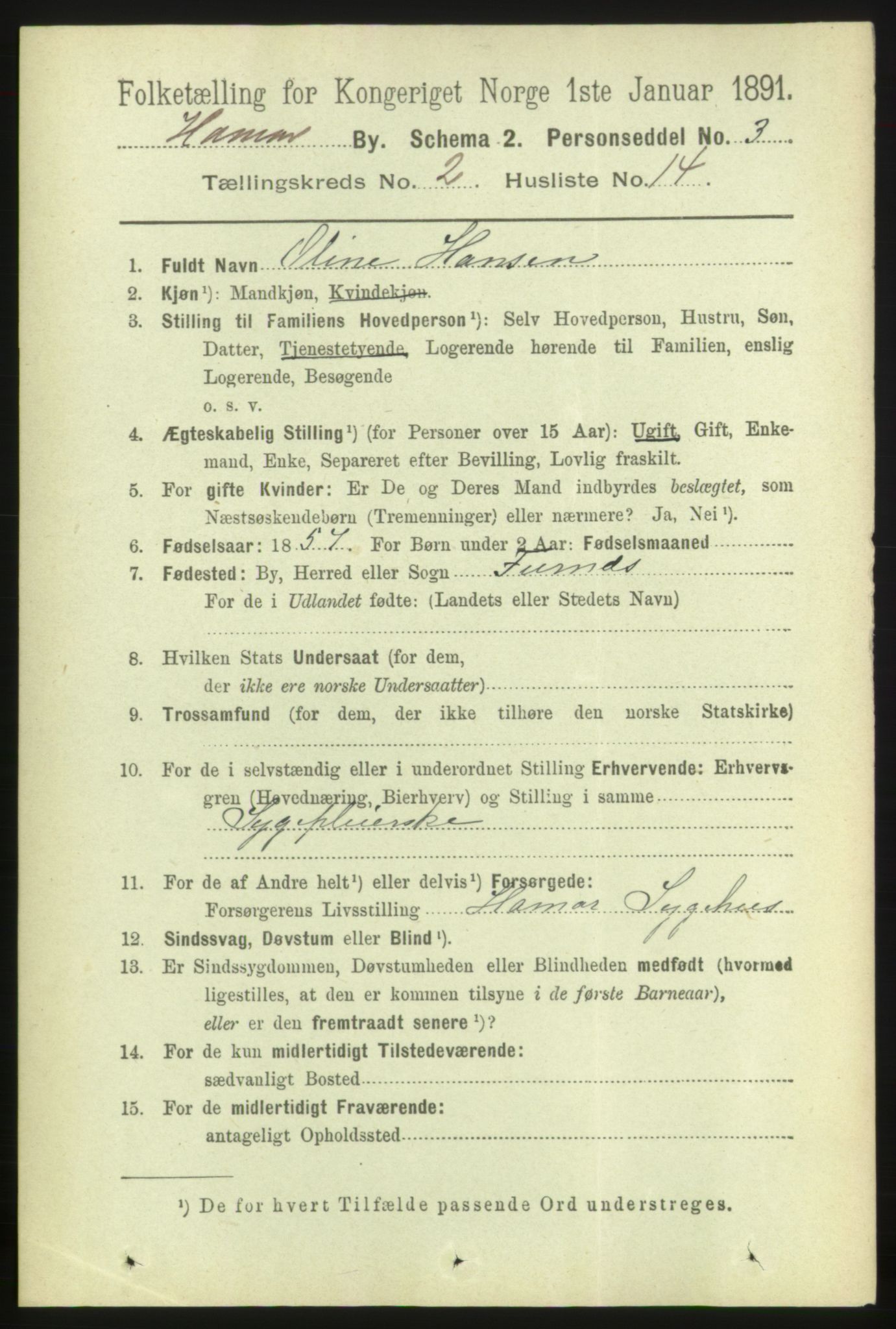 RA, 1891 census for 0401 Hamar, 1891, p. 1179