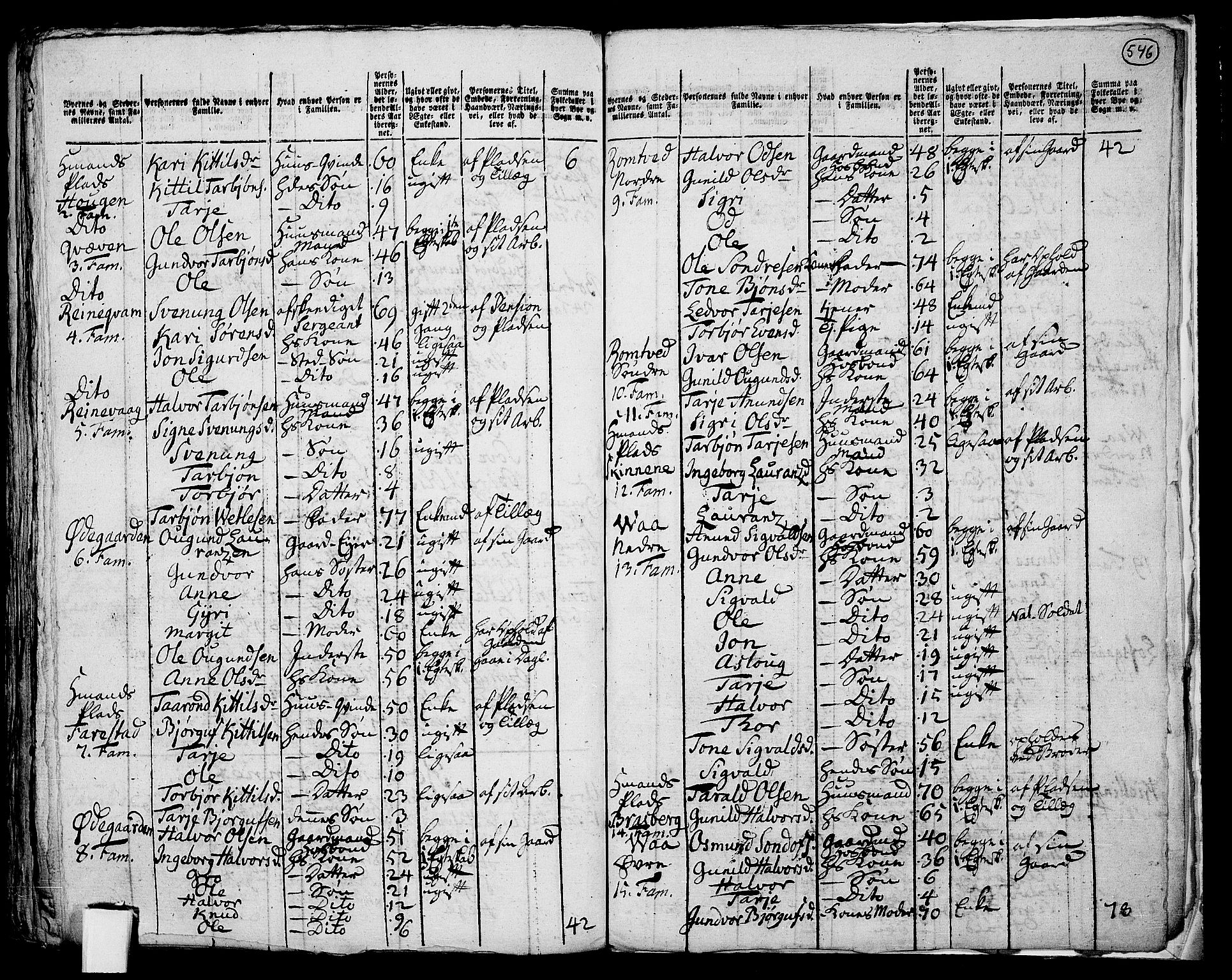 RA, 1801 census for 0834P Vinje, 1801, p. 545b-546a