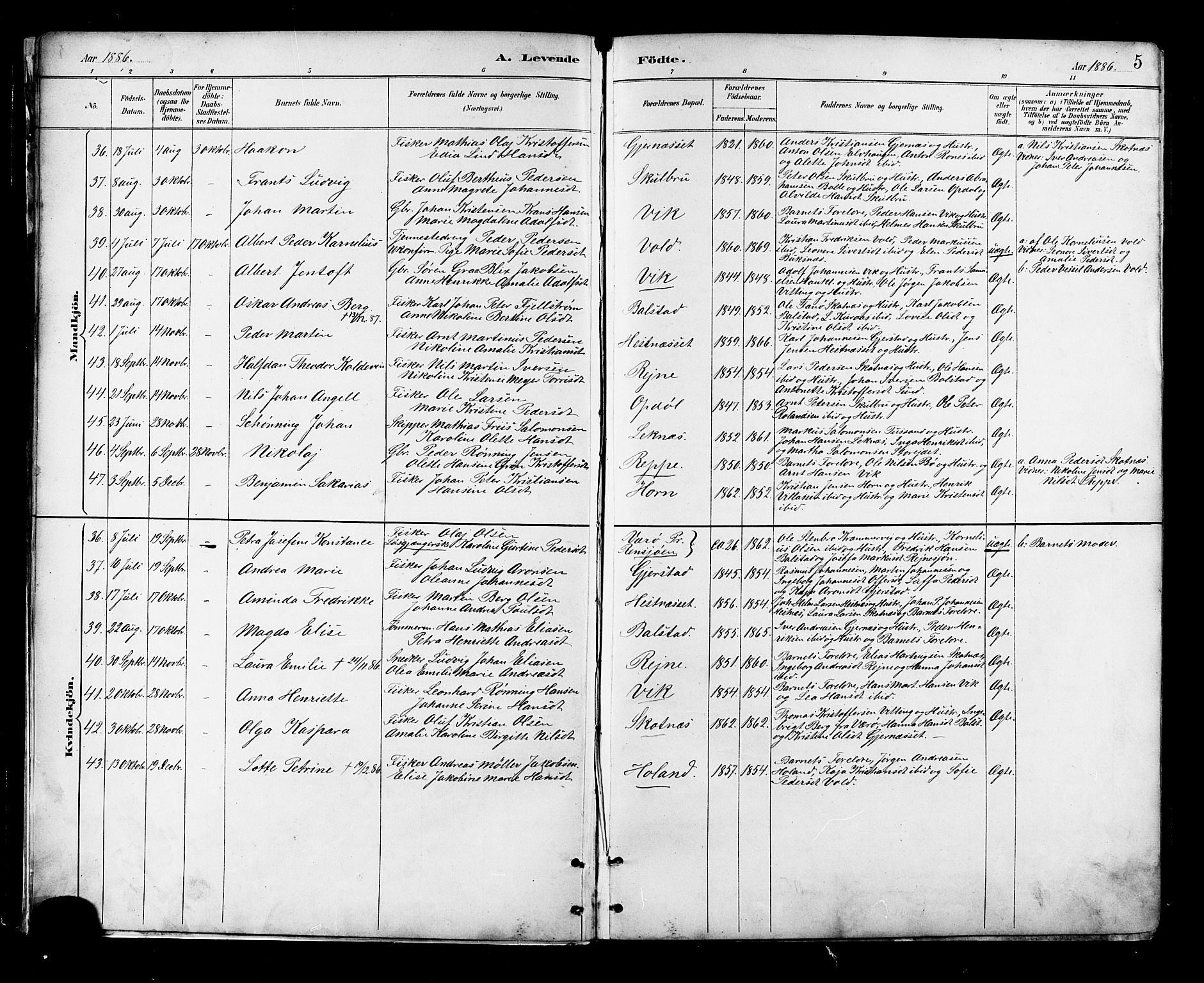 Ministerialprotokoller, klokkerbøker og fødselsregistre - Nordland, AV/SAT-A-1459/881/L1167: Parish register (copy) no. 881C04, 1886-1899, p. 5