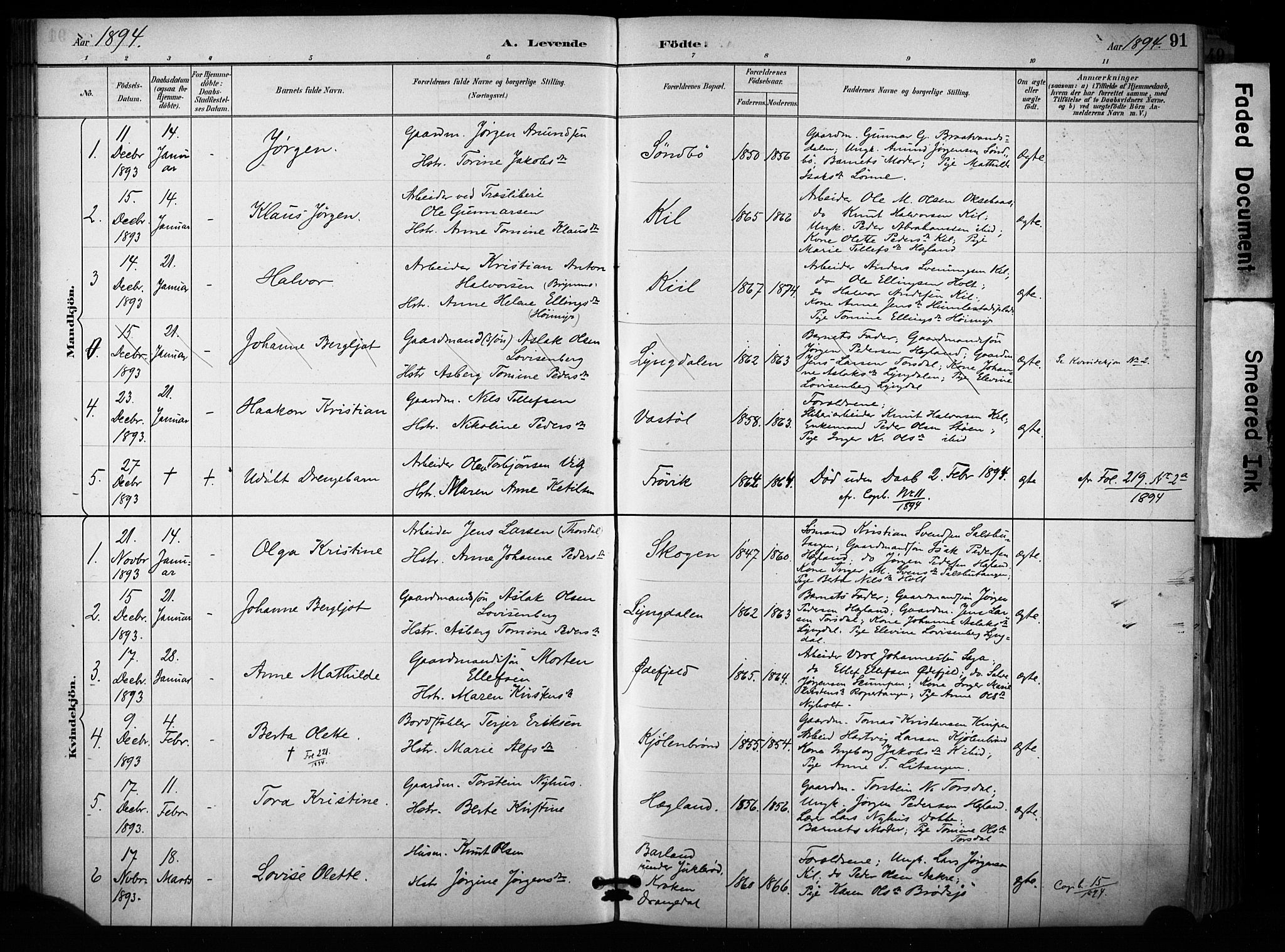 Sannidal kirkebøker, SAKO/A-296/F/Fa/L0015: Parish register (official) no. 15, 1884-1899, p. 91